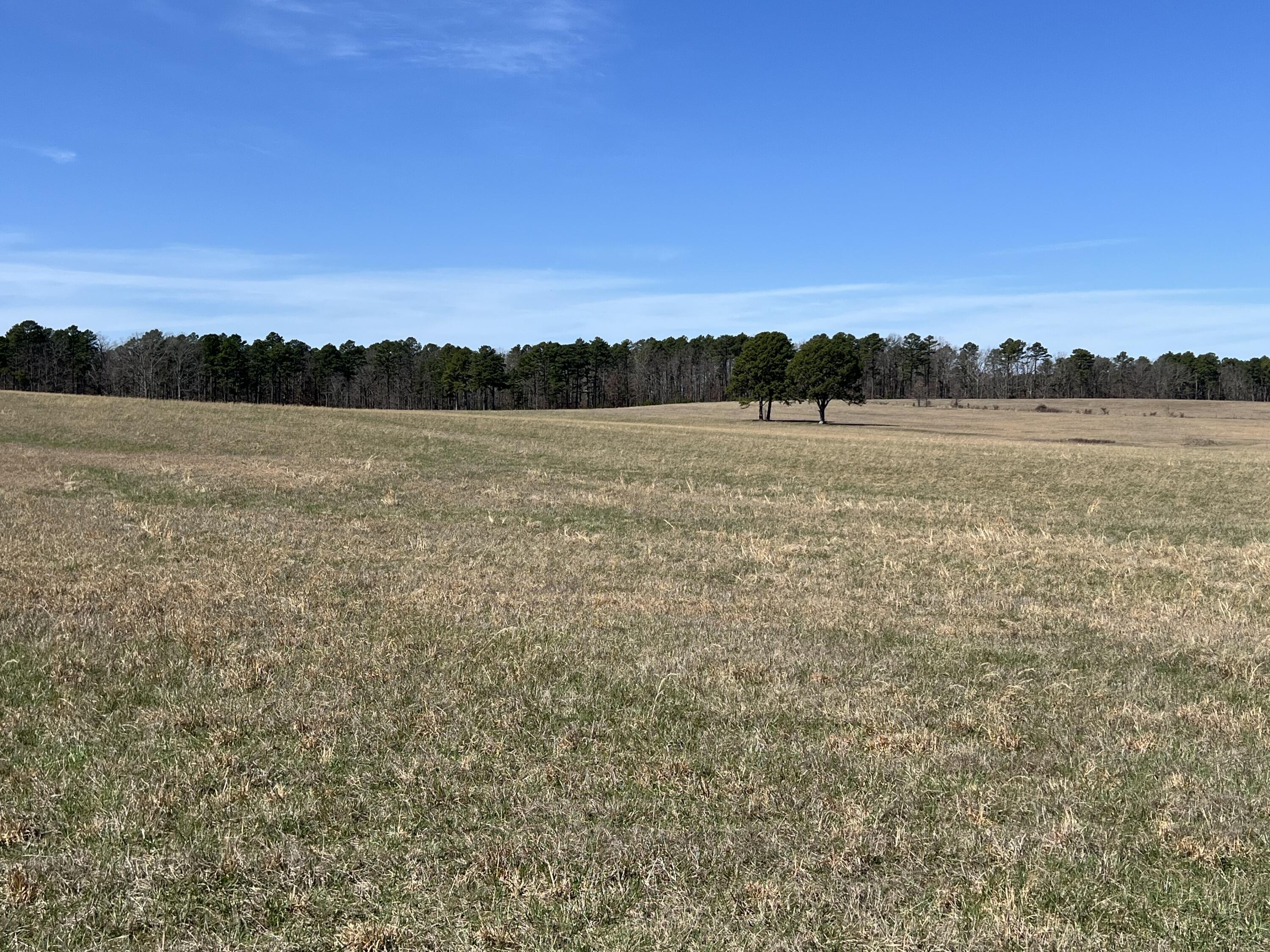 23813 State Route Z Property Photo 92