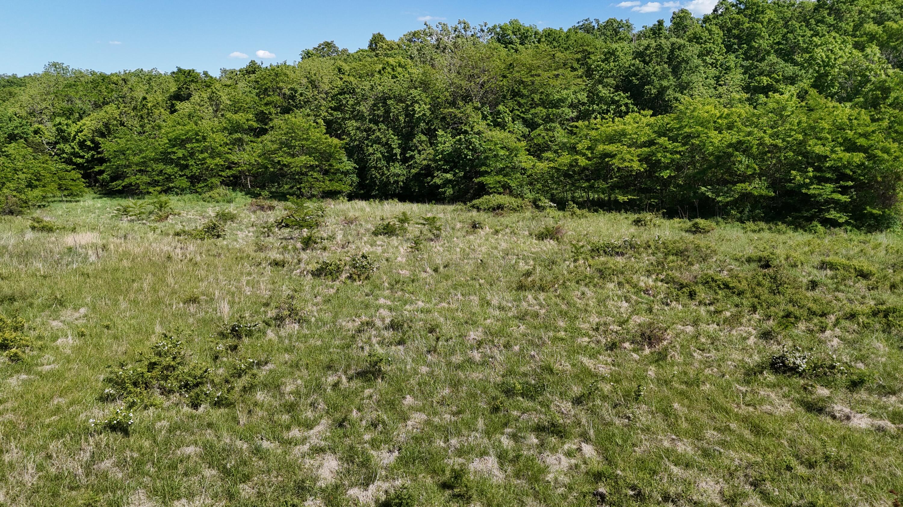 200 Flint Hollow Road Property Photo 15