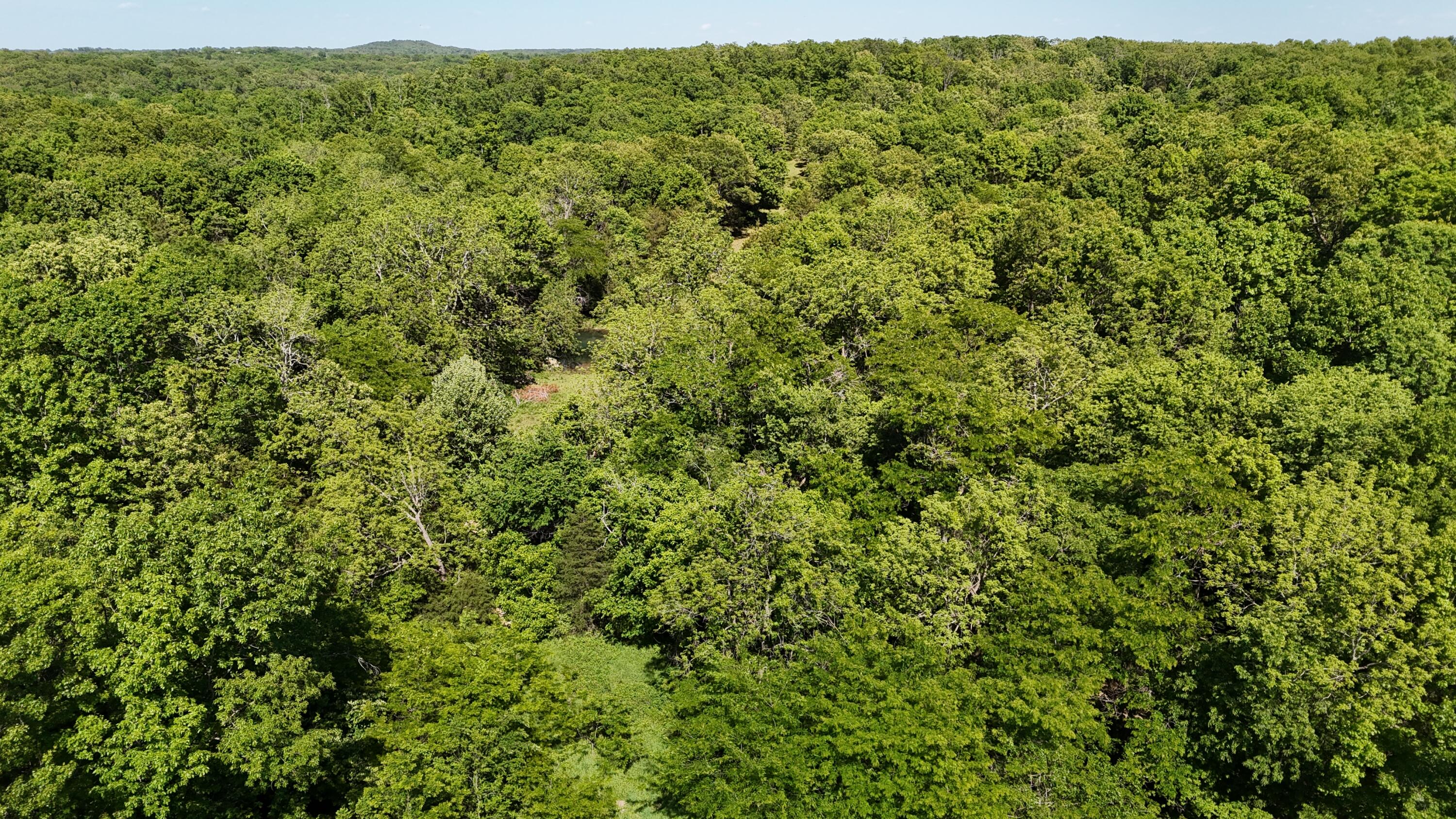 200 Flint Hollow Road Property Photo 16