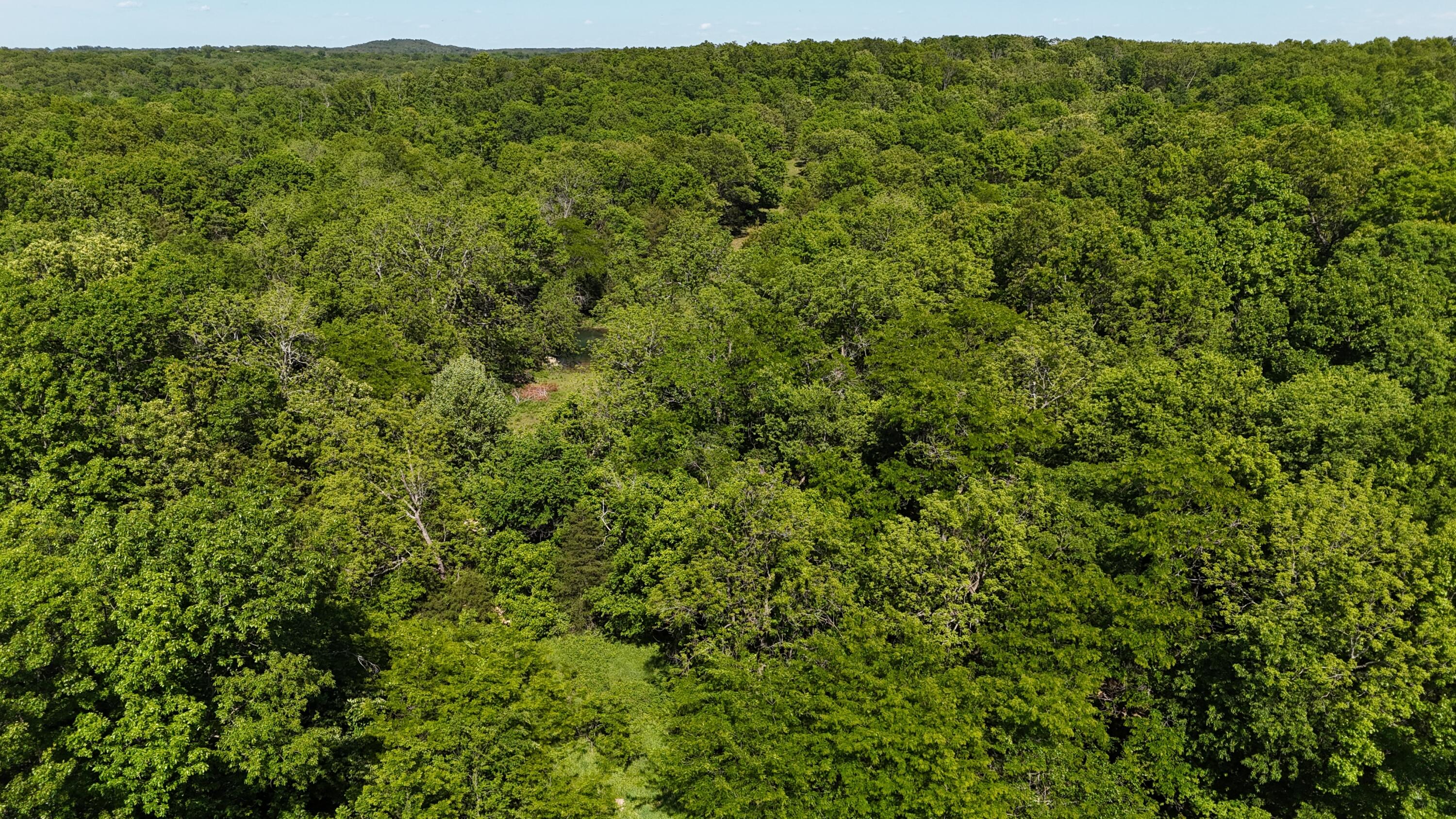200 Flint Hollow Road Property Photo 17