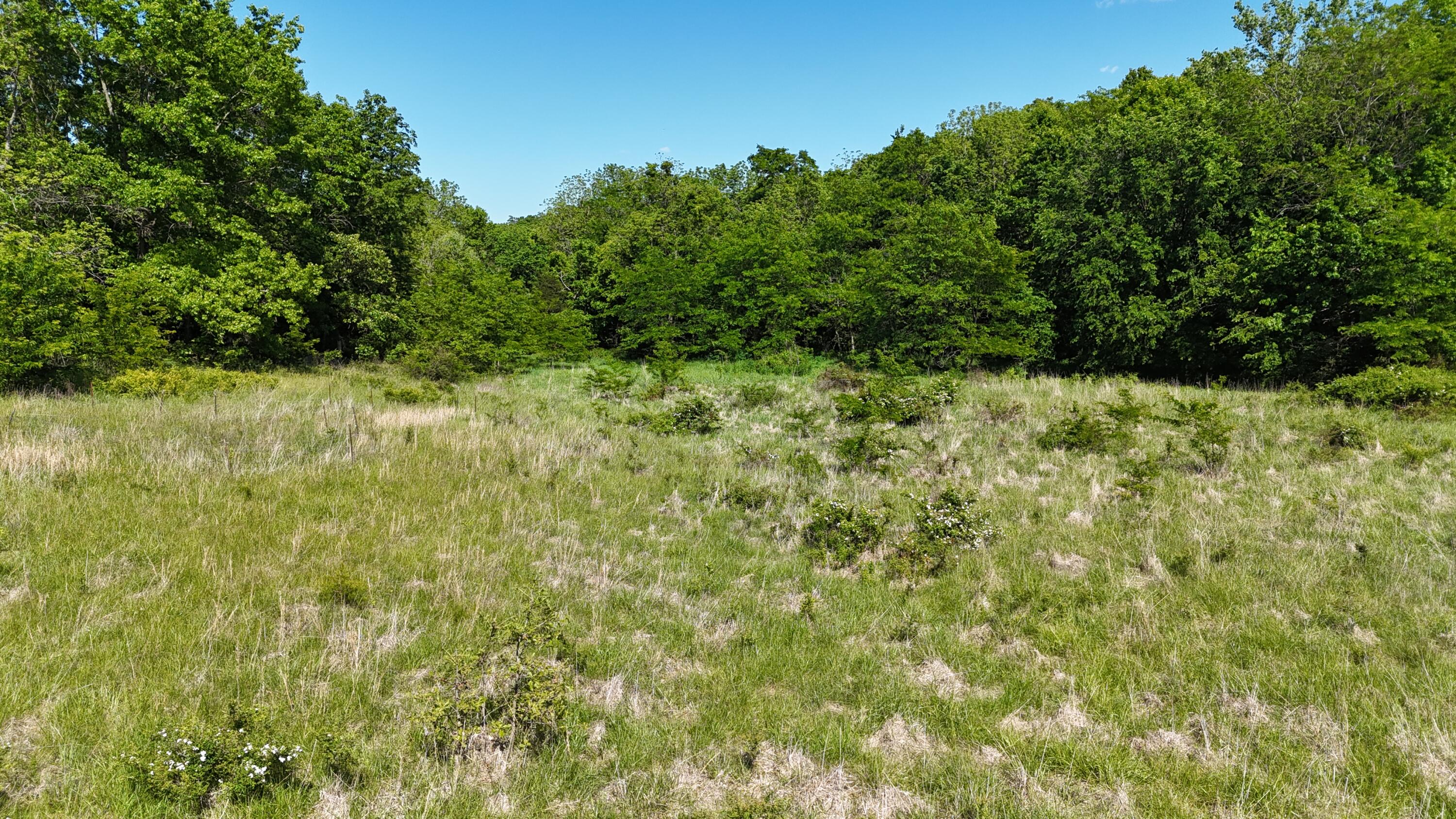 200 Flint Hollow Road Property Photo 20