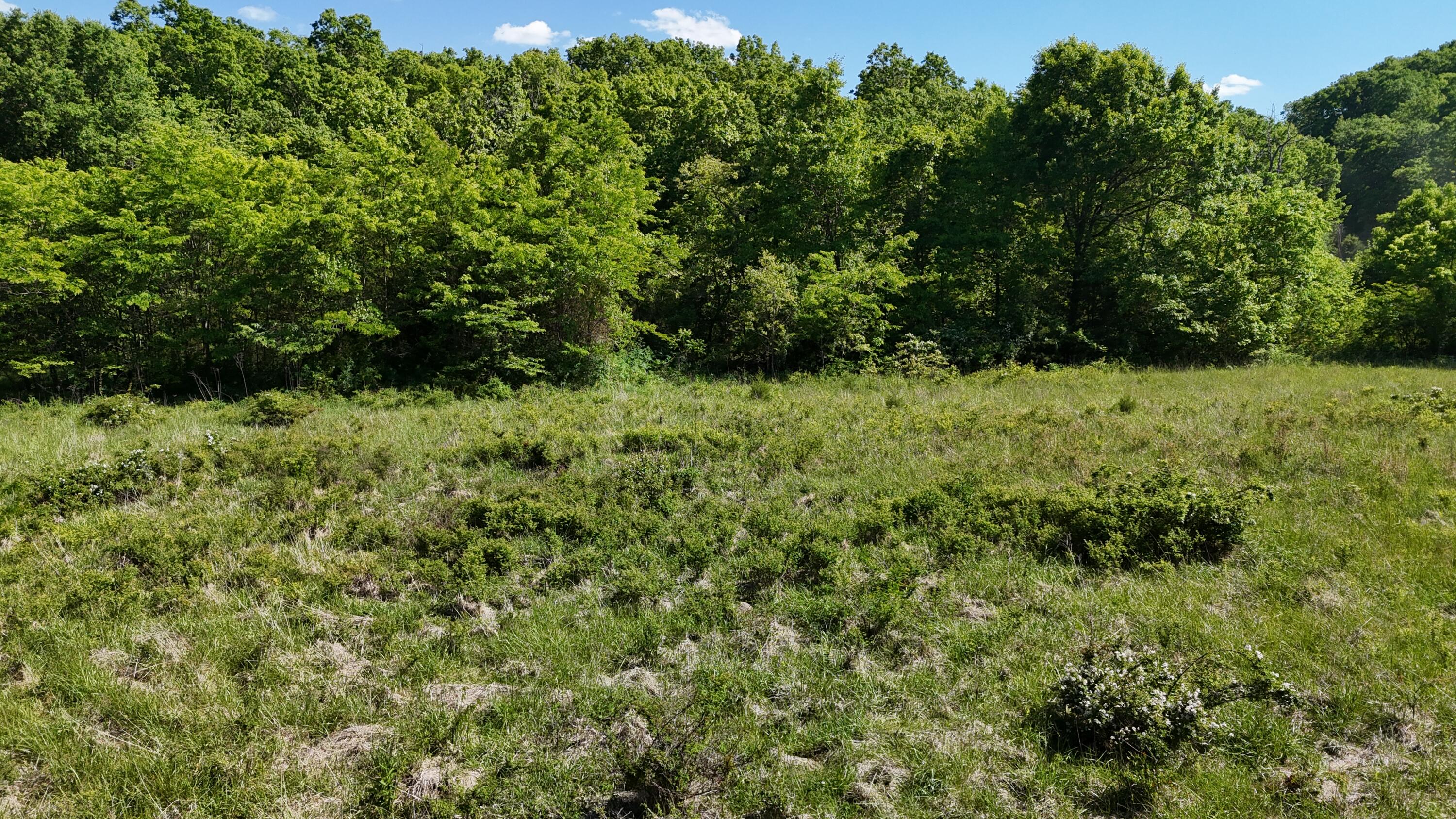 200 Flint Hollow Road Property Photo 21