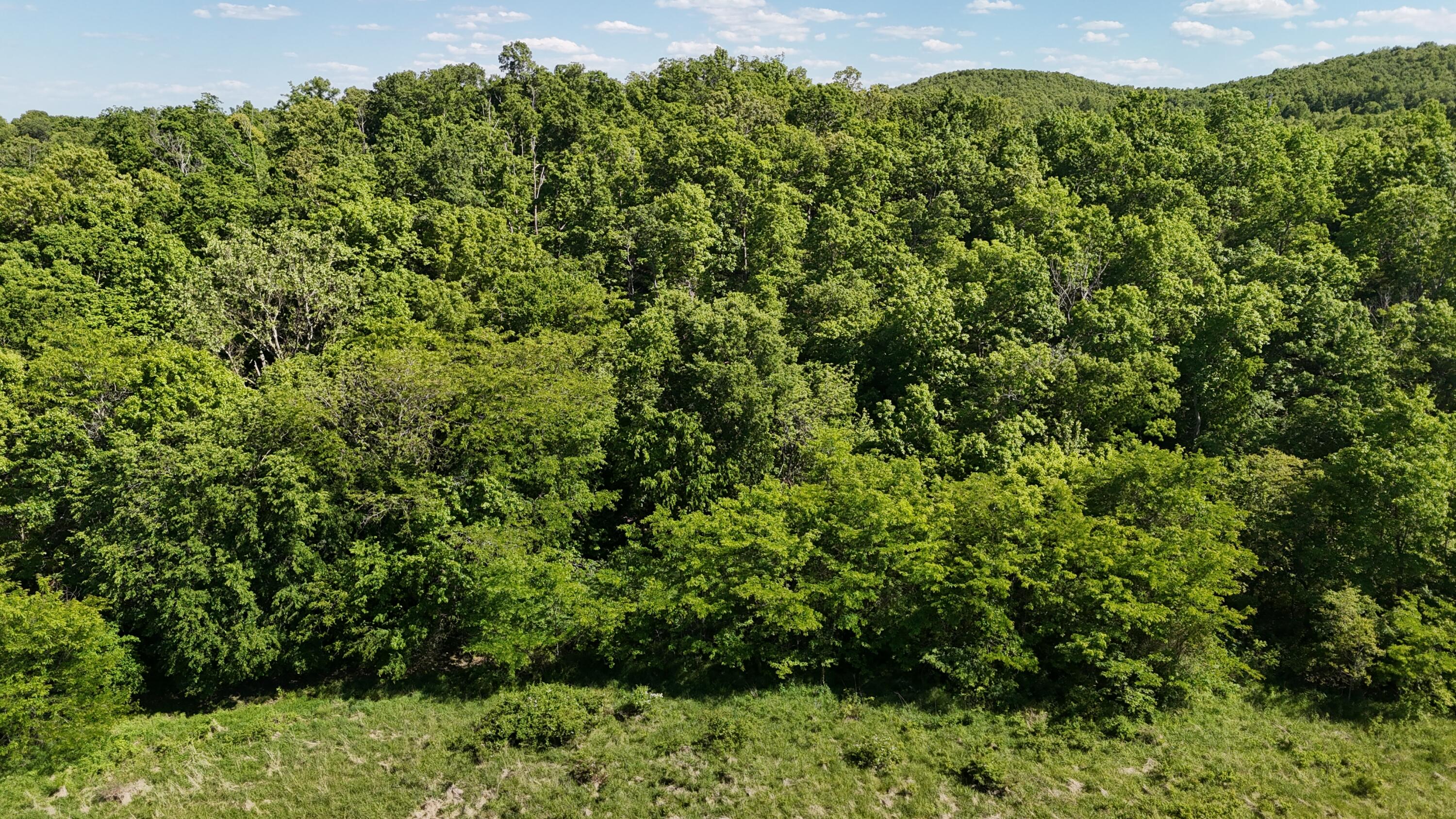 200 Flint Hollow Road Property Photo 25