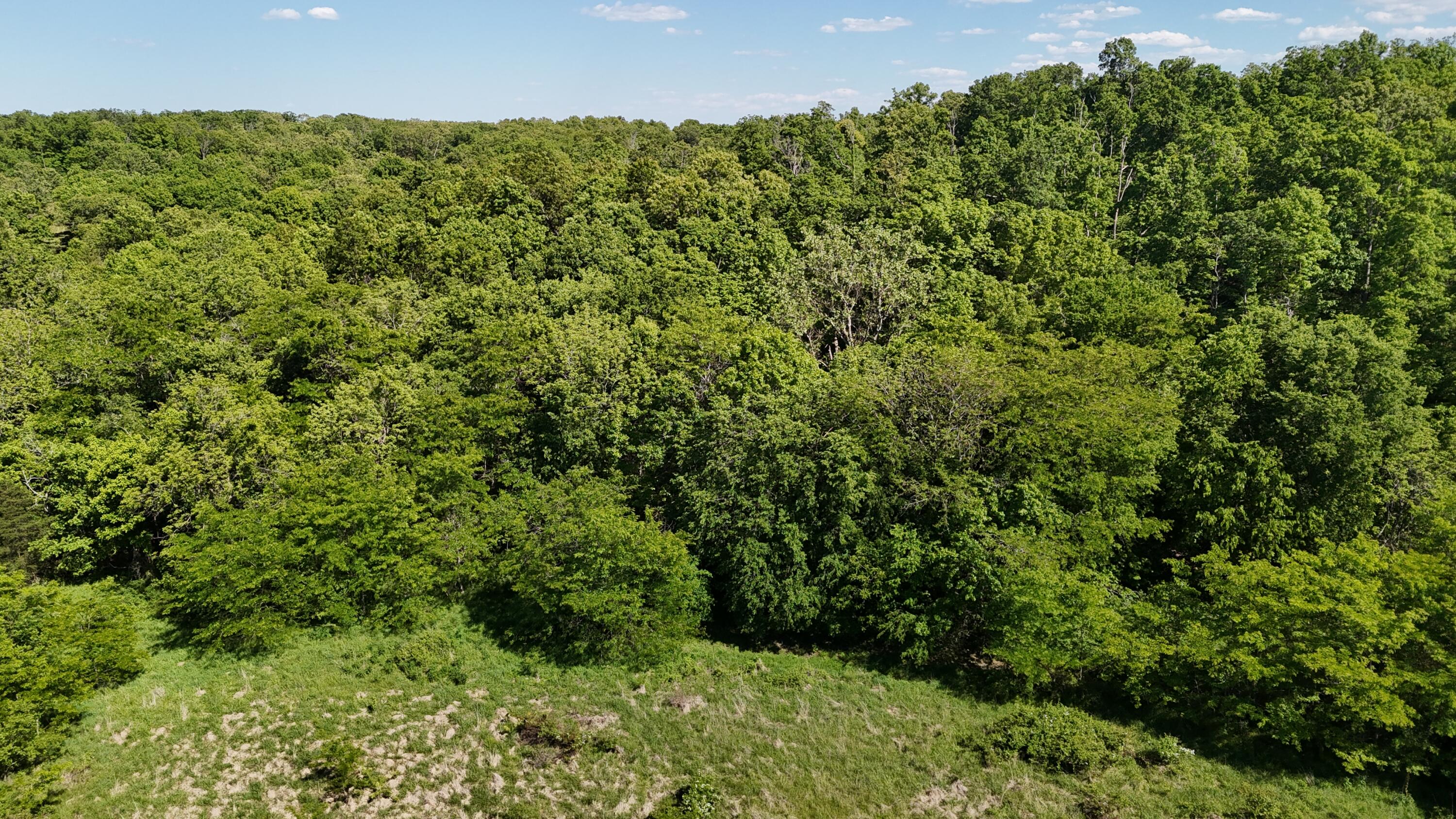 200 Flint Hollow Road Property Photo 26