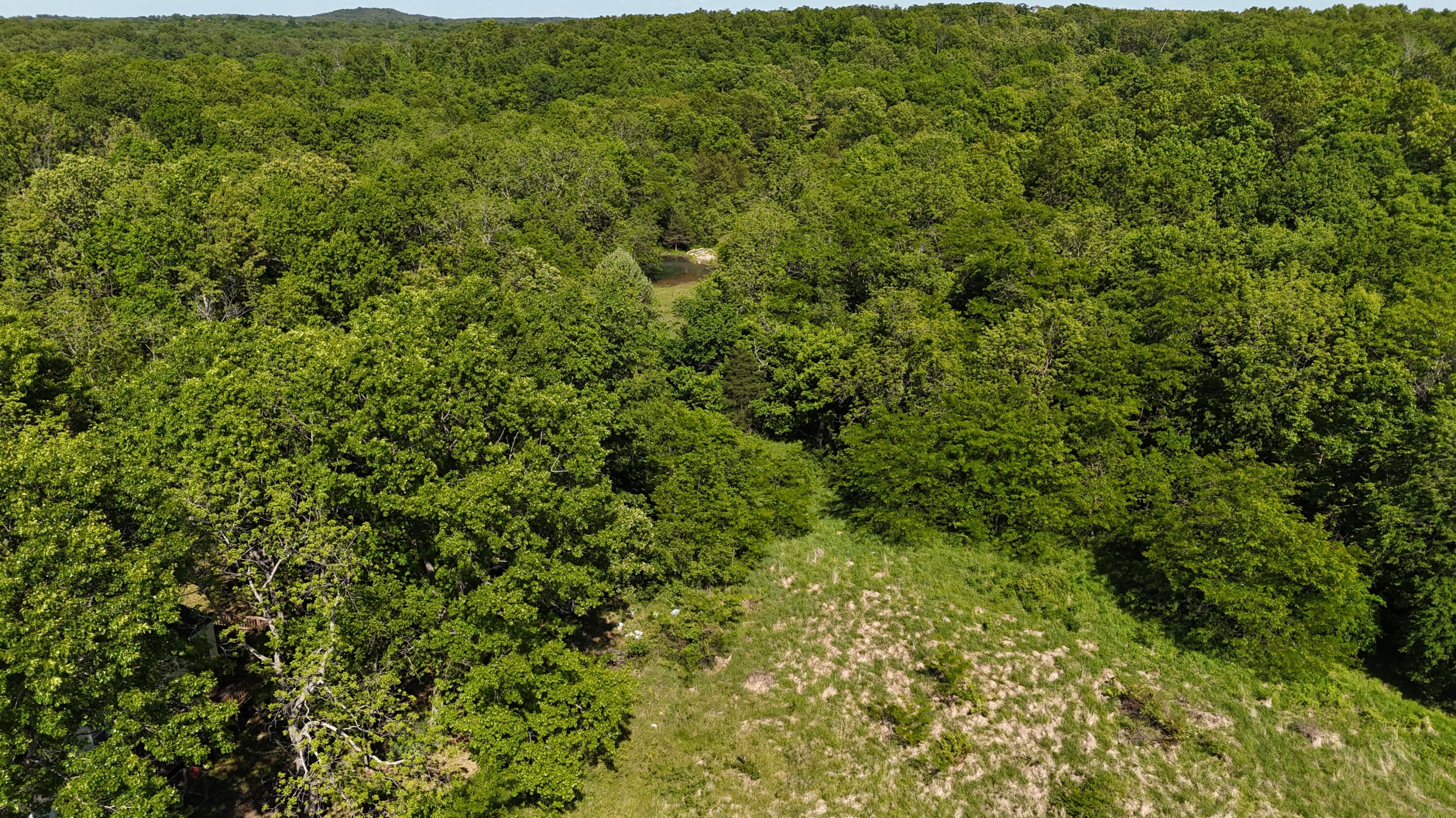 200 Flint Hollow Road Property Photo 28