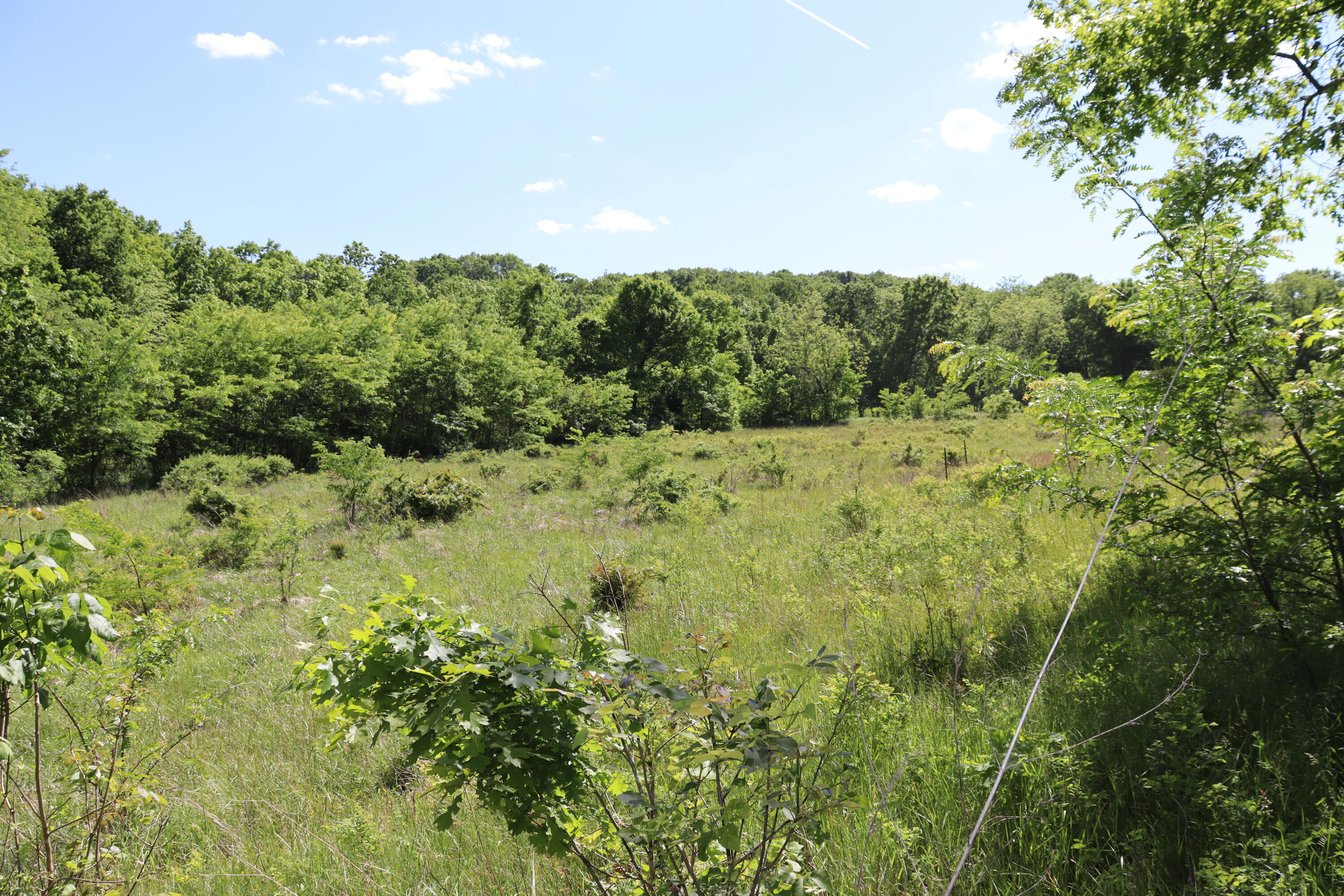 200 Flint Hollow Road Property Photo 29