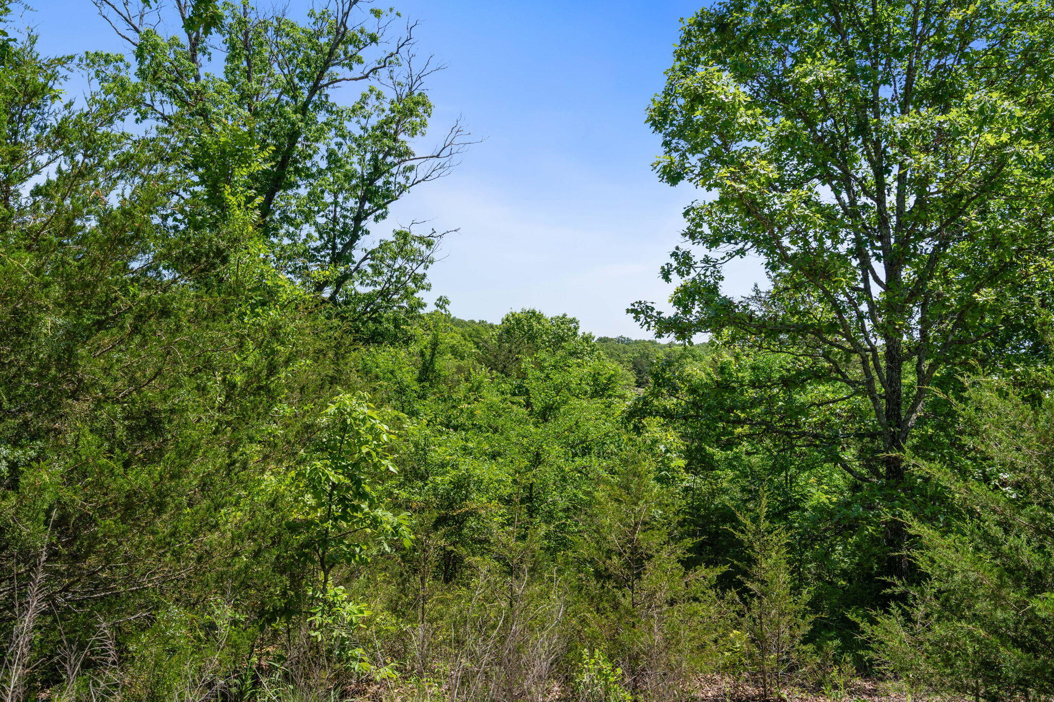 Lot 134 Beechwood Drive Property Photo 6
