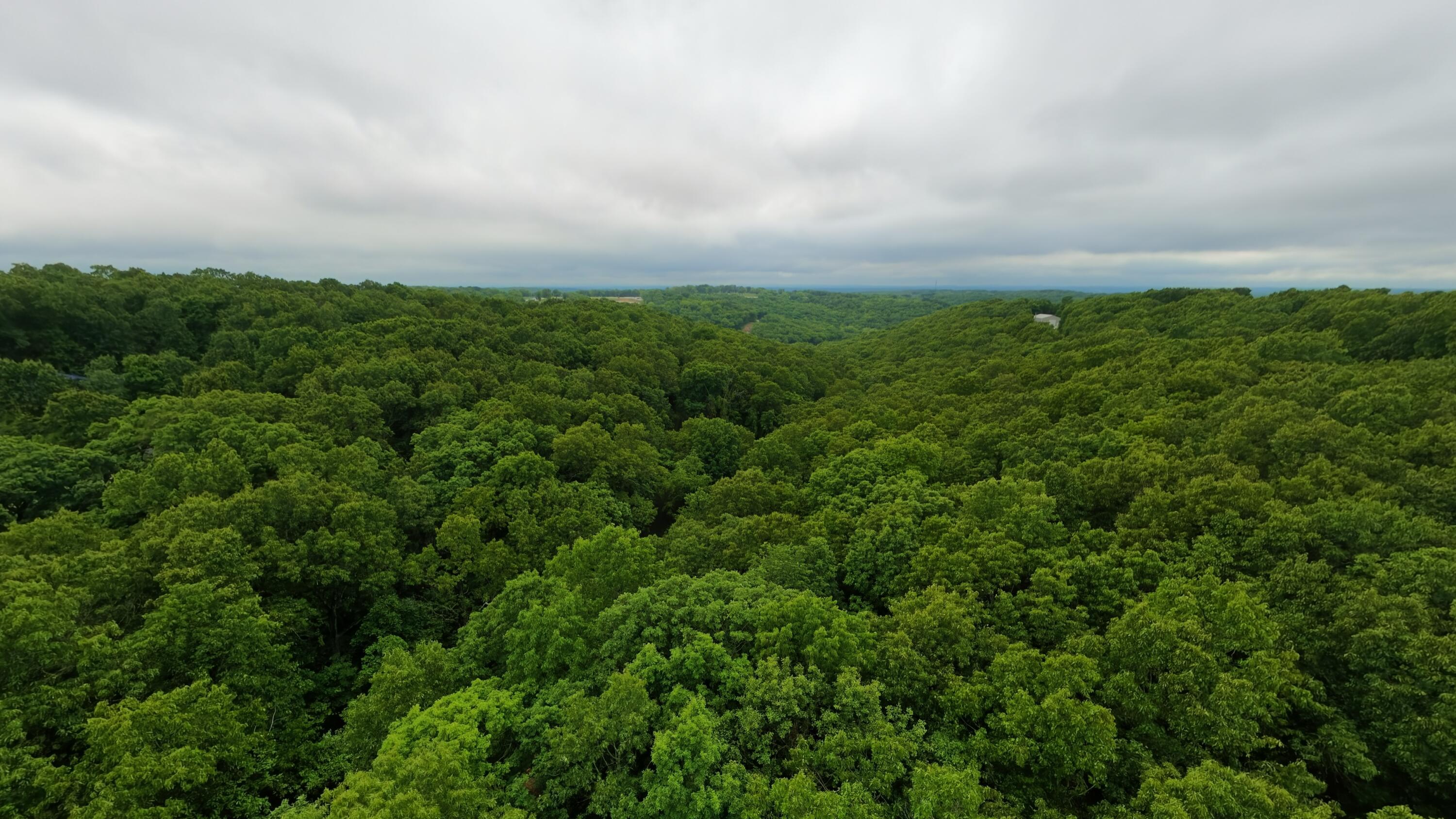 Tbd Devils Pool Rd Property Photo 3