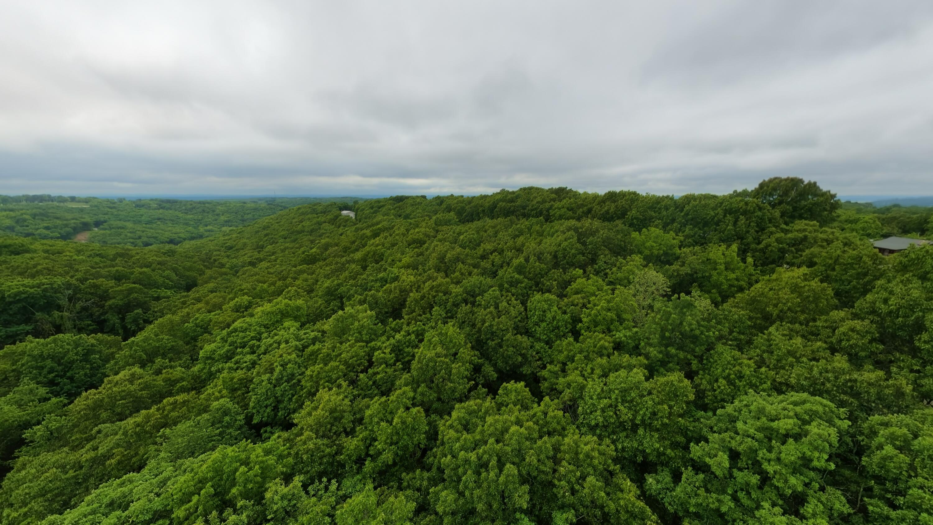 Tbd Devils Pool Rd Property Photo 5