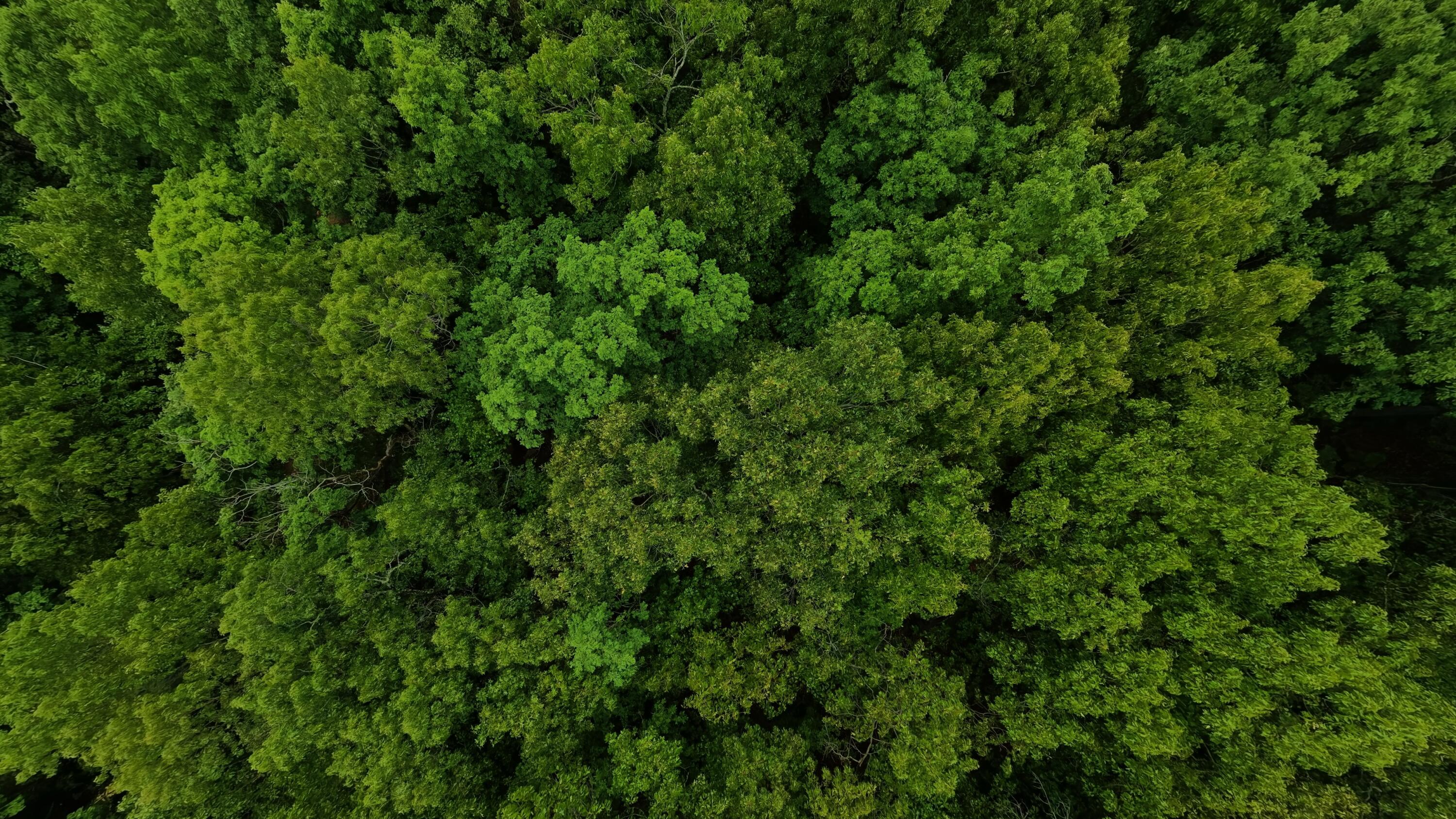 Tbd Devils Pool Rd Property Photo 6