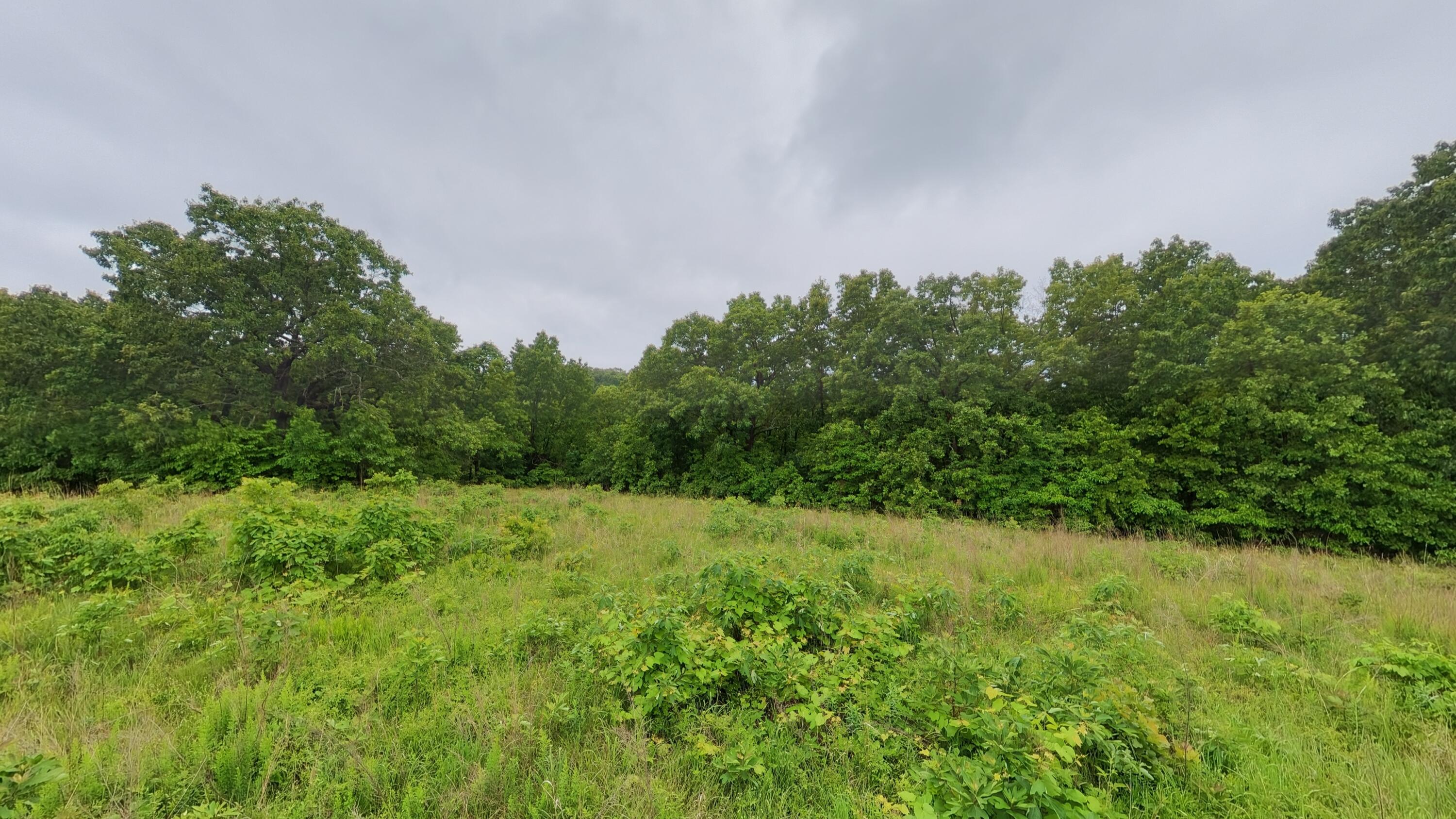 Tbd Devils Pool Rd Property Photo 10