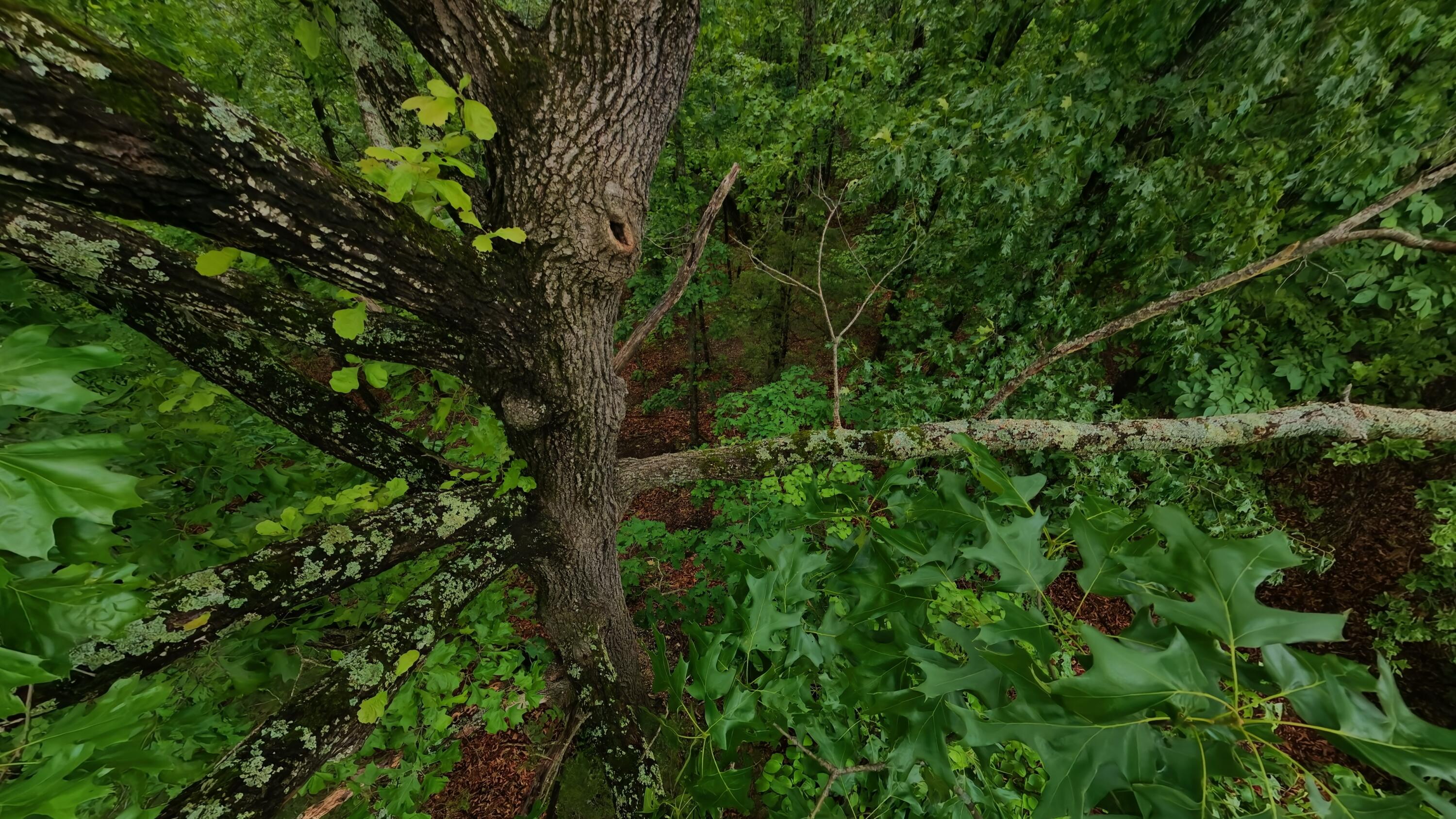 Tbd Devils Pool Rd Property Photo 11
