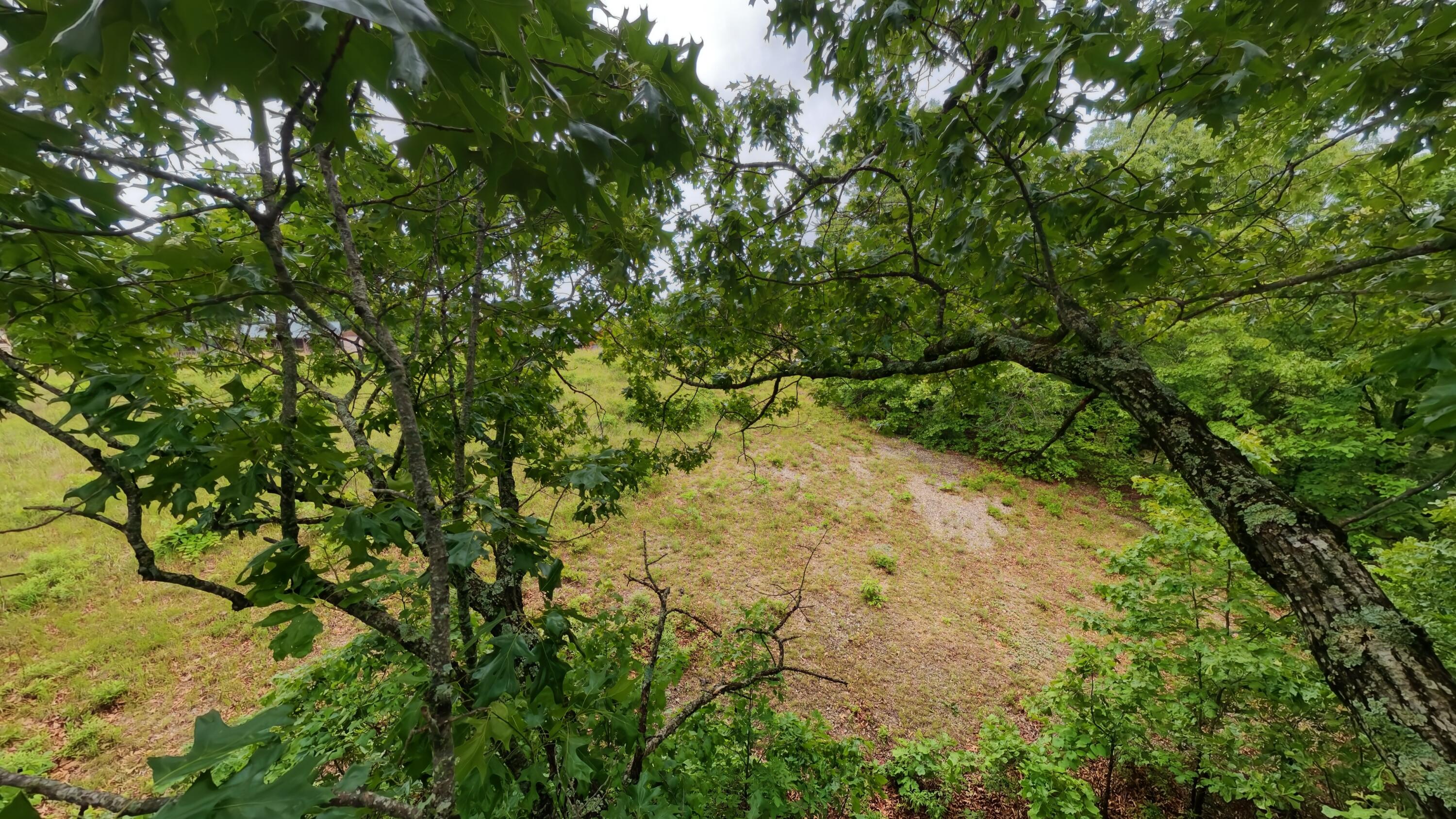 Tbd Devils Pool Rd Property Photo 12