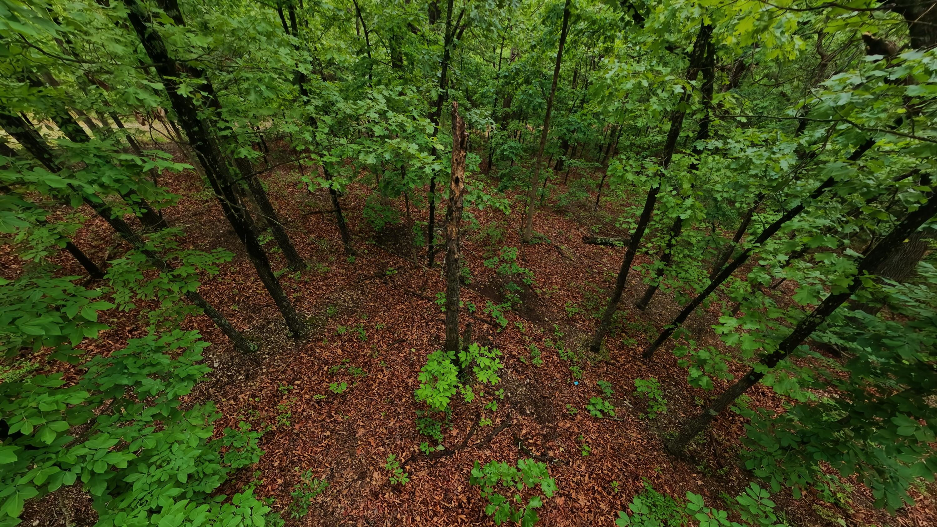 Tbd Devils Pool Rd Property Photo 13