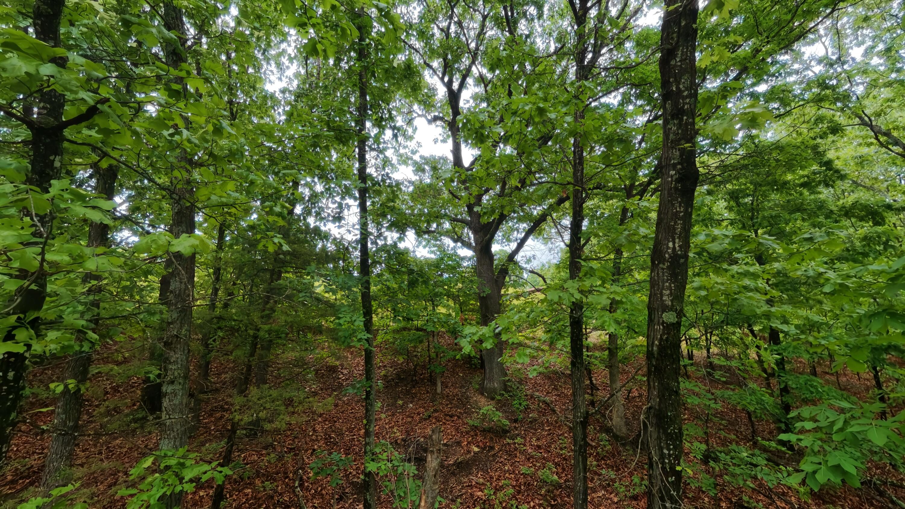 Tbd Devils Pool Rd Property Photo 14
