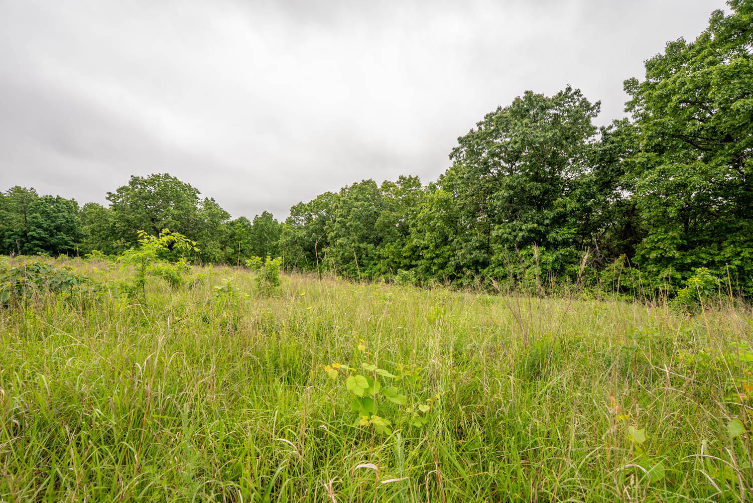 Tbd Devils Pool Rd Property Photo 16