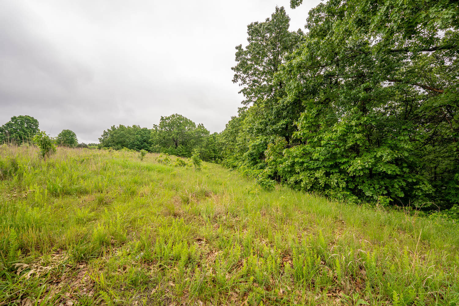 Tbd Devils Pool Rd Property Photo 19
