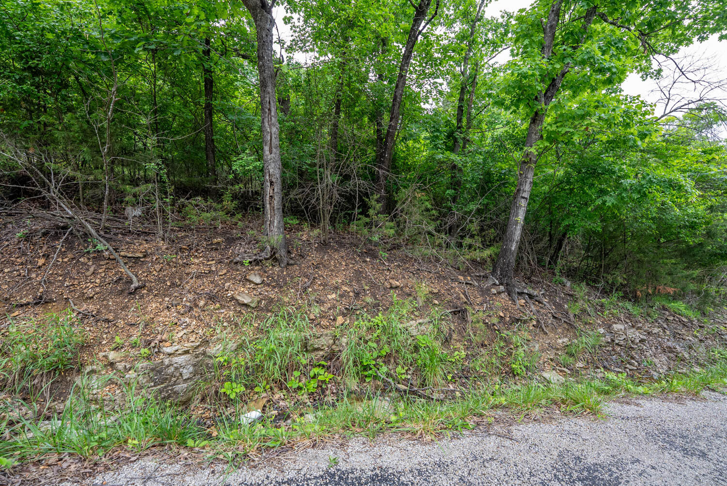 Tbd Mcmeen Drive Property Photo 16
