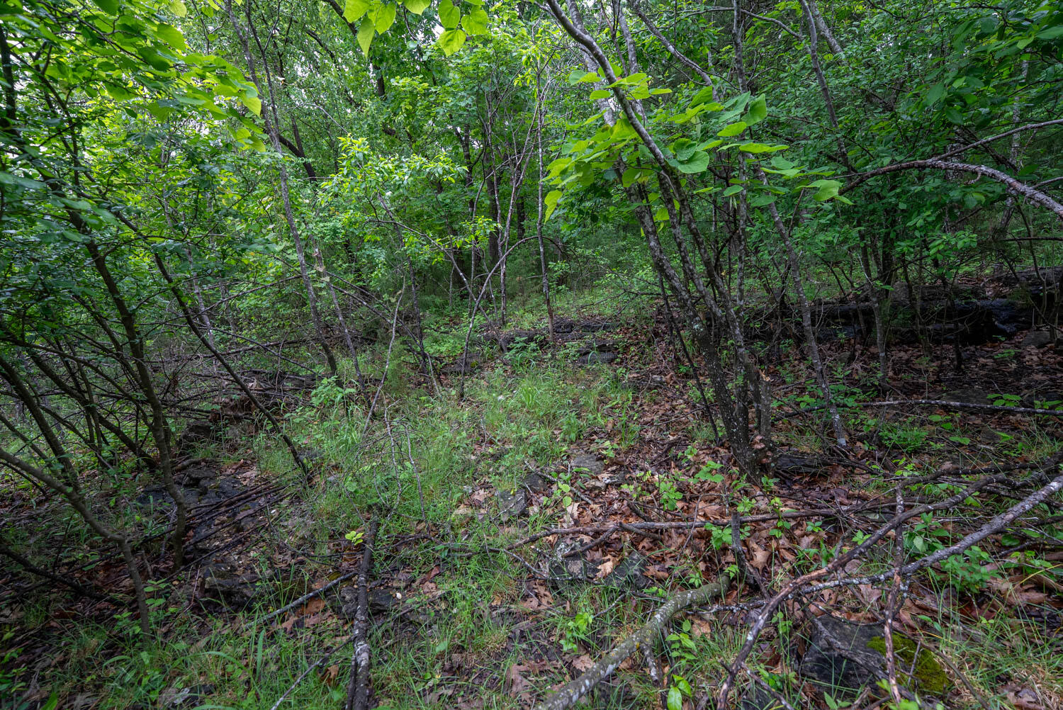 Tbd Mcmeen Drive Property Photo 17