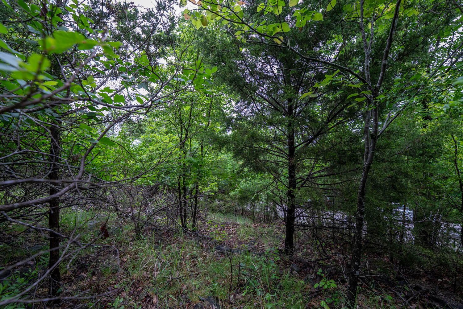 Tbd Mcmeen Drive Property Photo 18