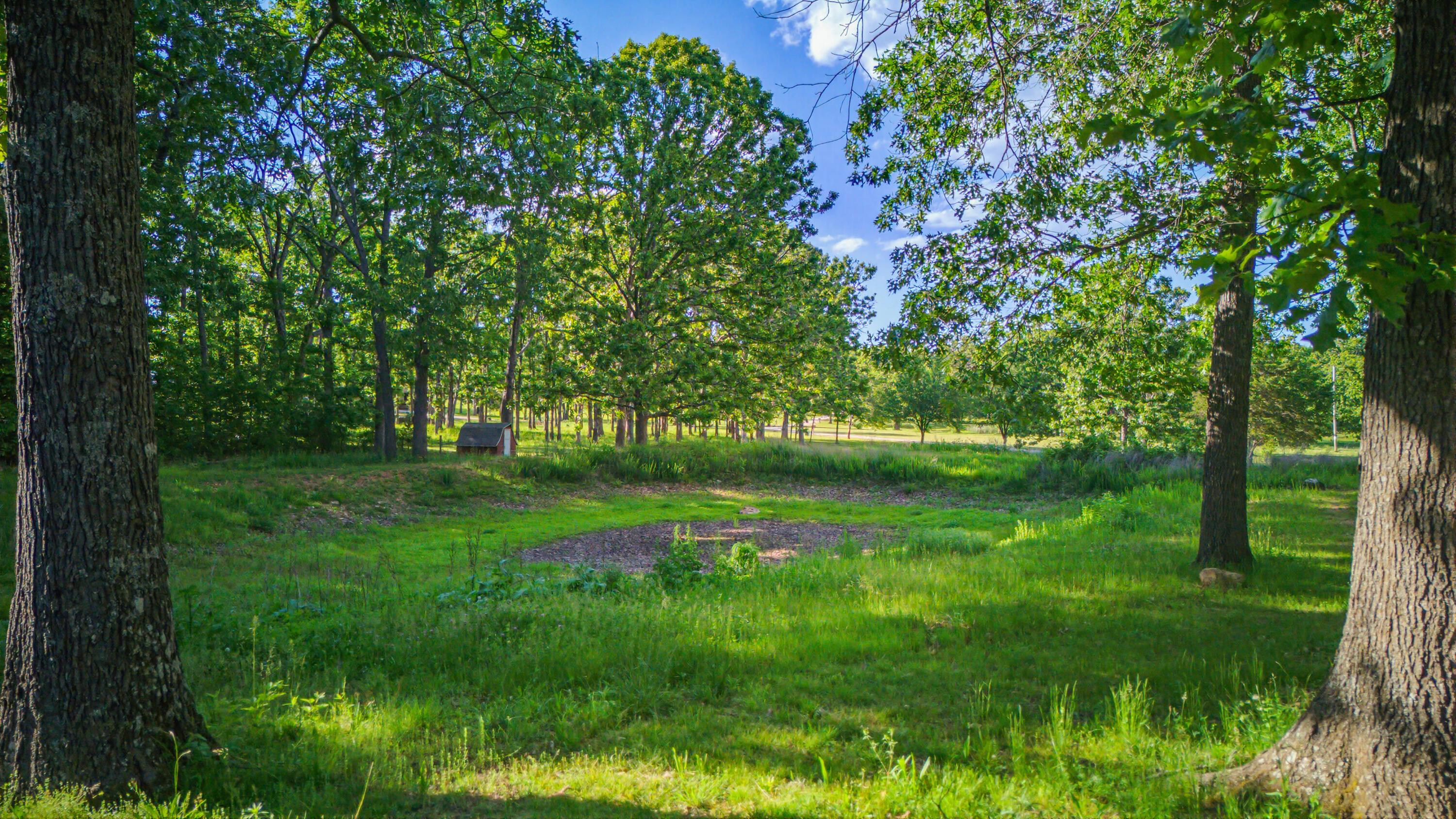 5345 County Road 8800 Property Photo 38