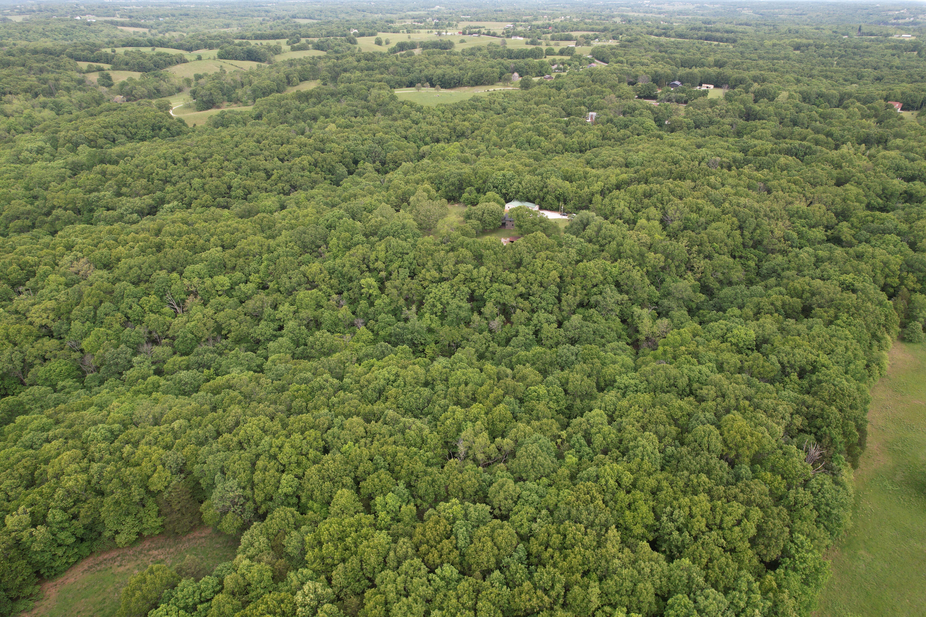 10550 State Hwy A Tract 3 Property Photo 8