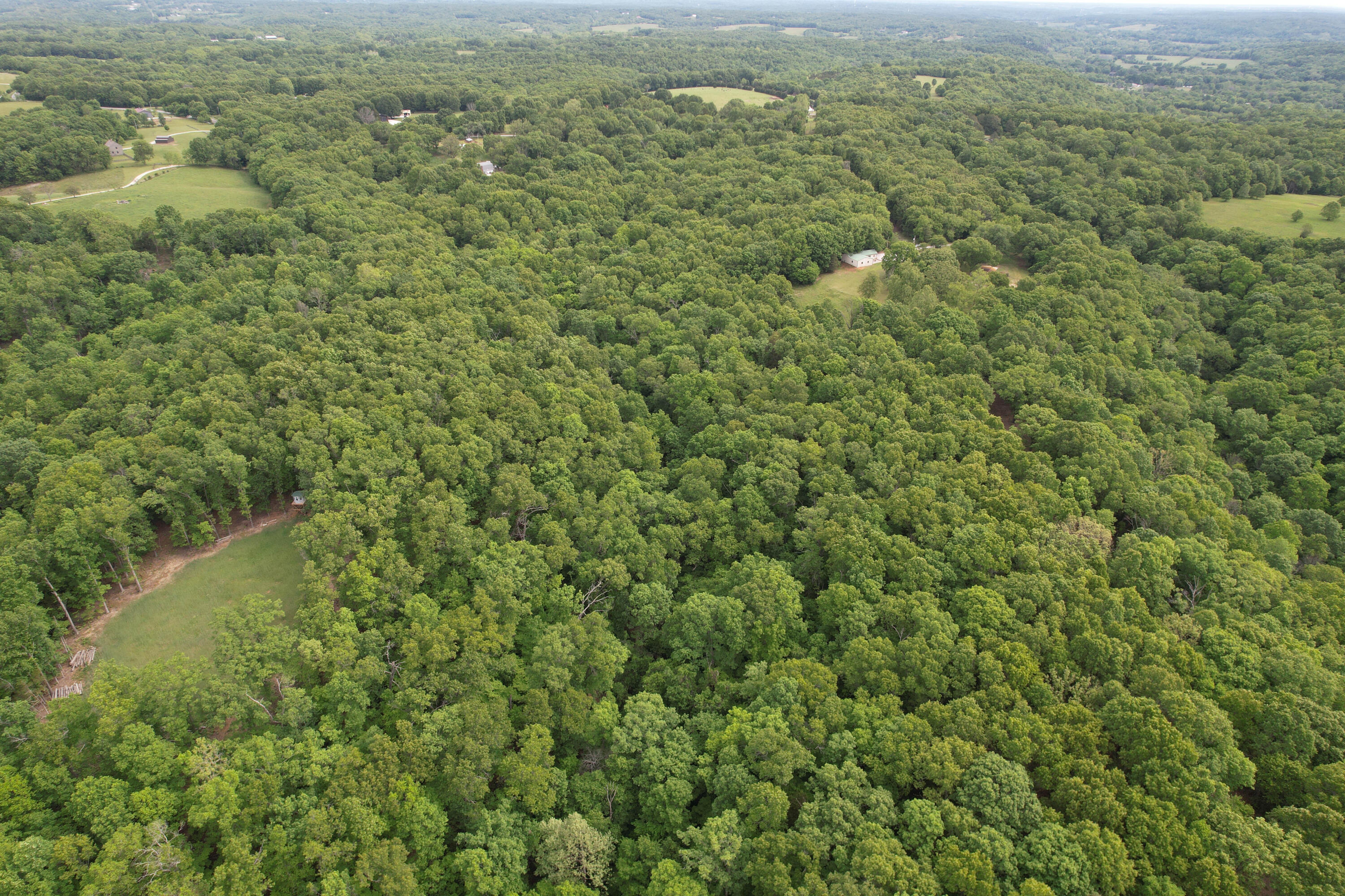 10550 State Hwy A Tract 3 Property Photo 9