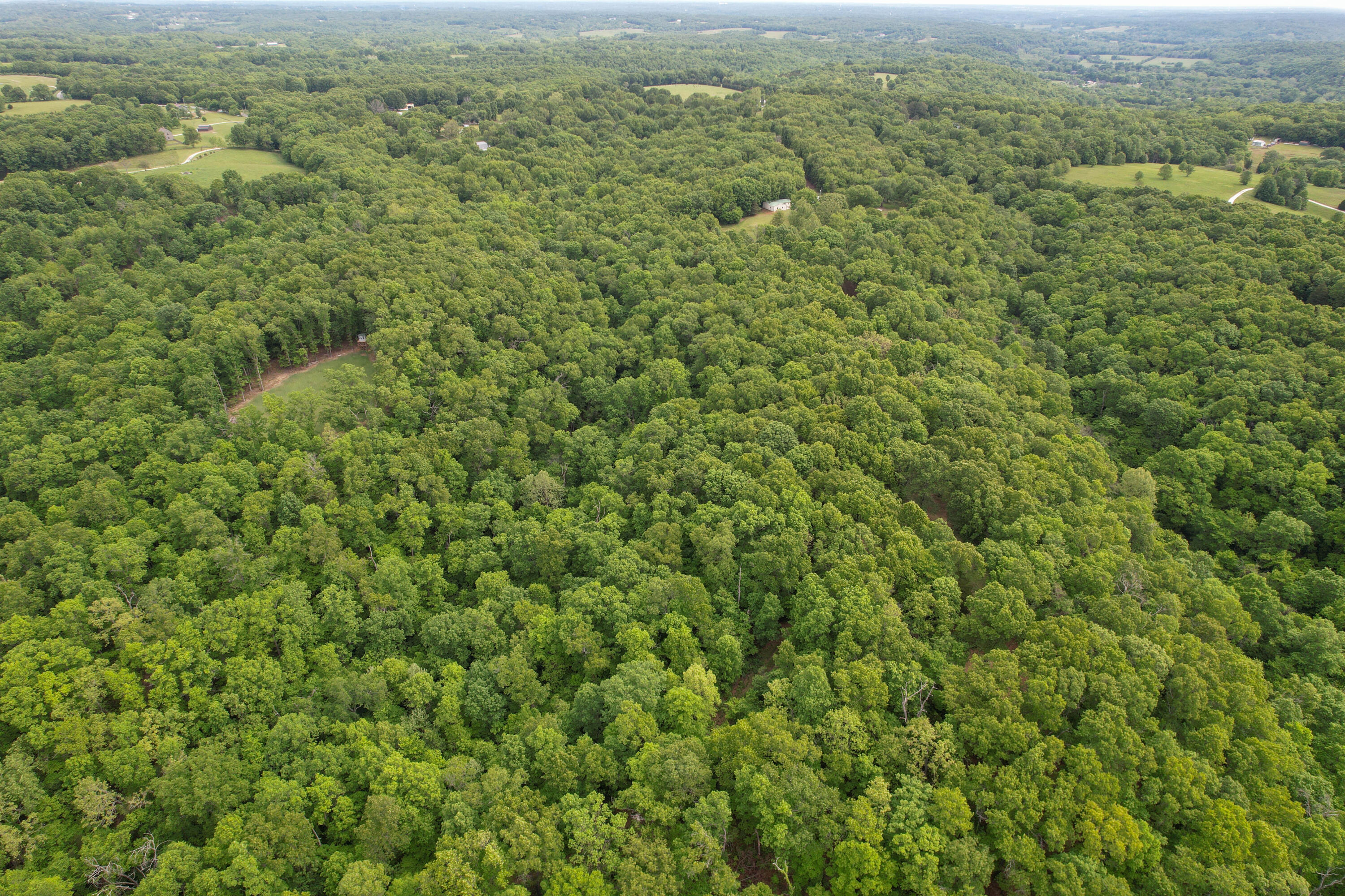 10550 State Hwy A Tract 3 Property Photo 10