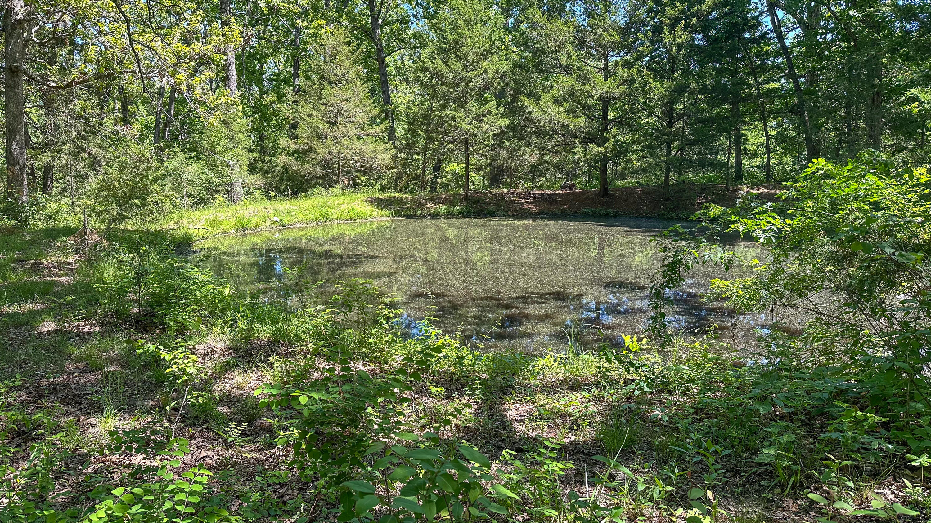 000 Tract B Logan Road Property Photo 6