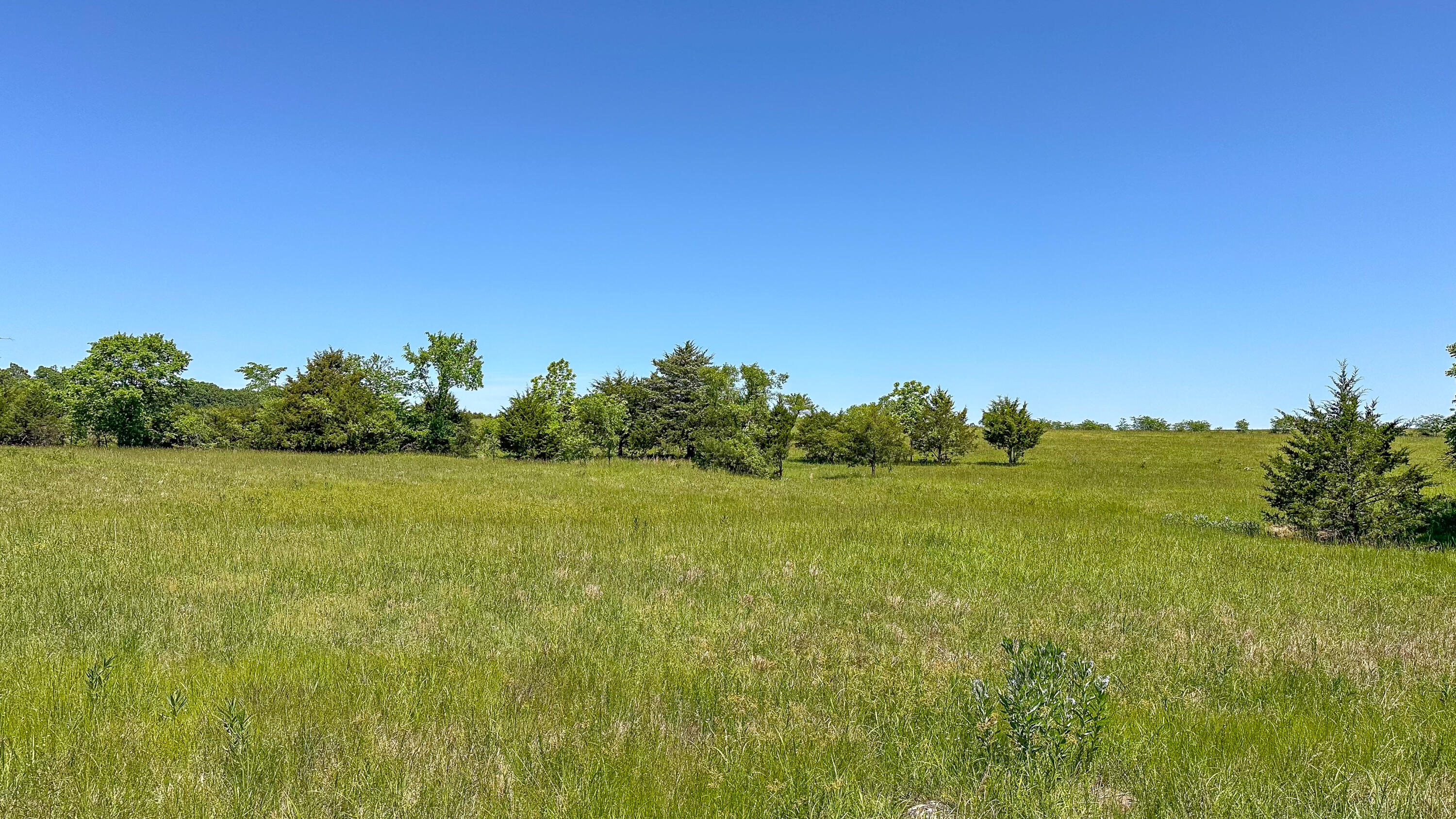 000 Tract B Logan Road Property Photo 12