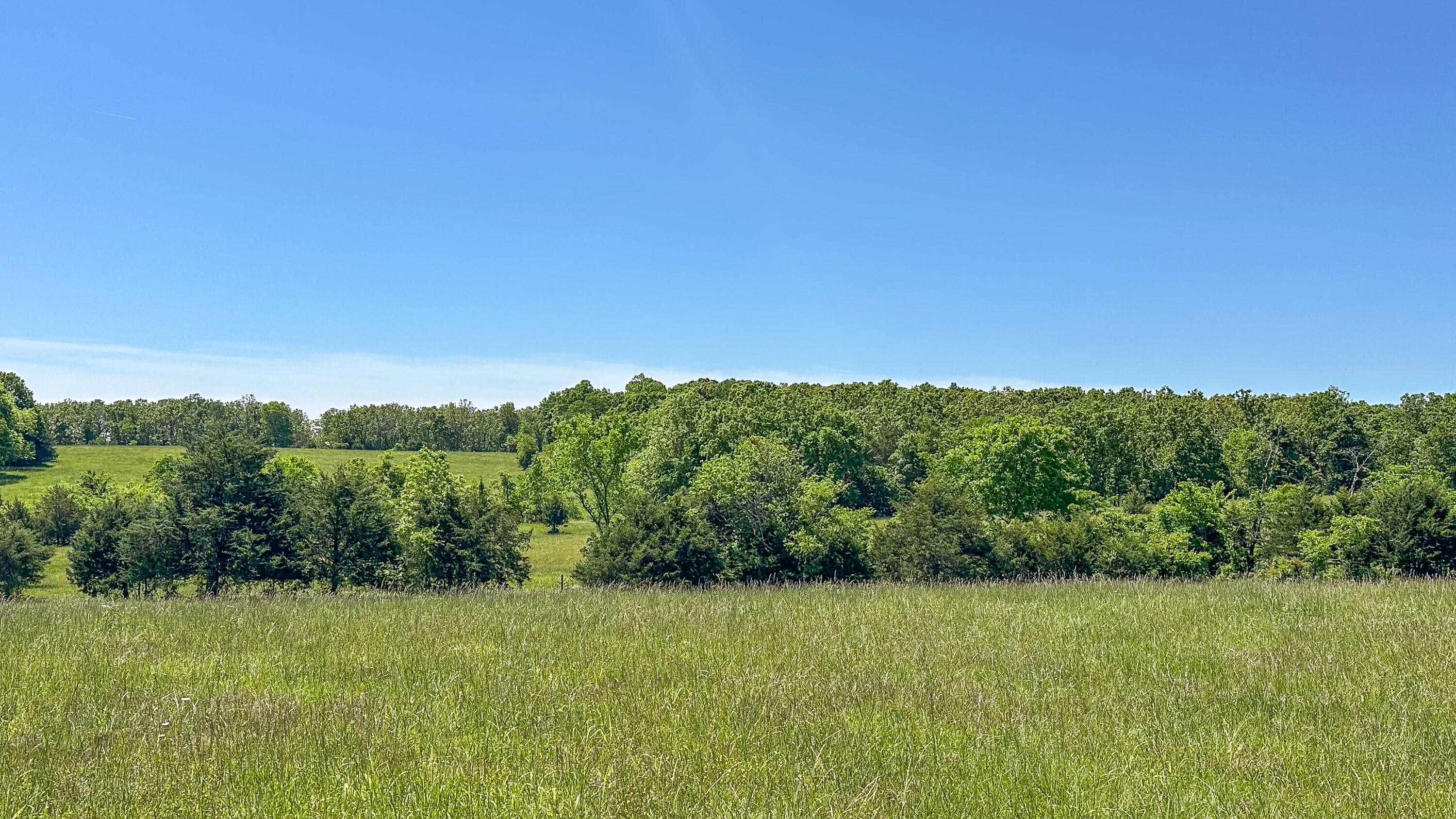 000 Tract B Logan Road Property Photo 13