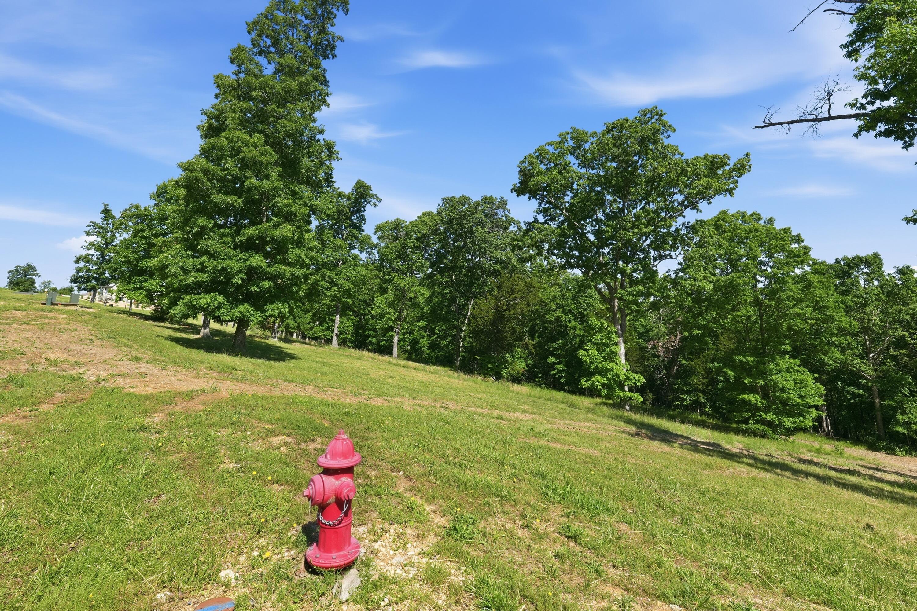 115a Property Photo 3