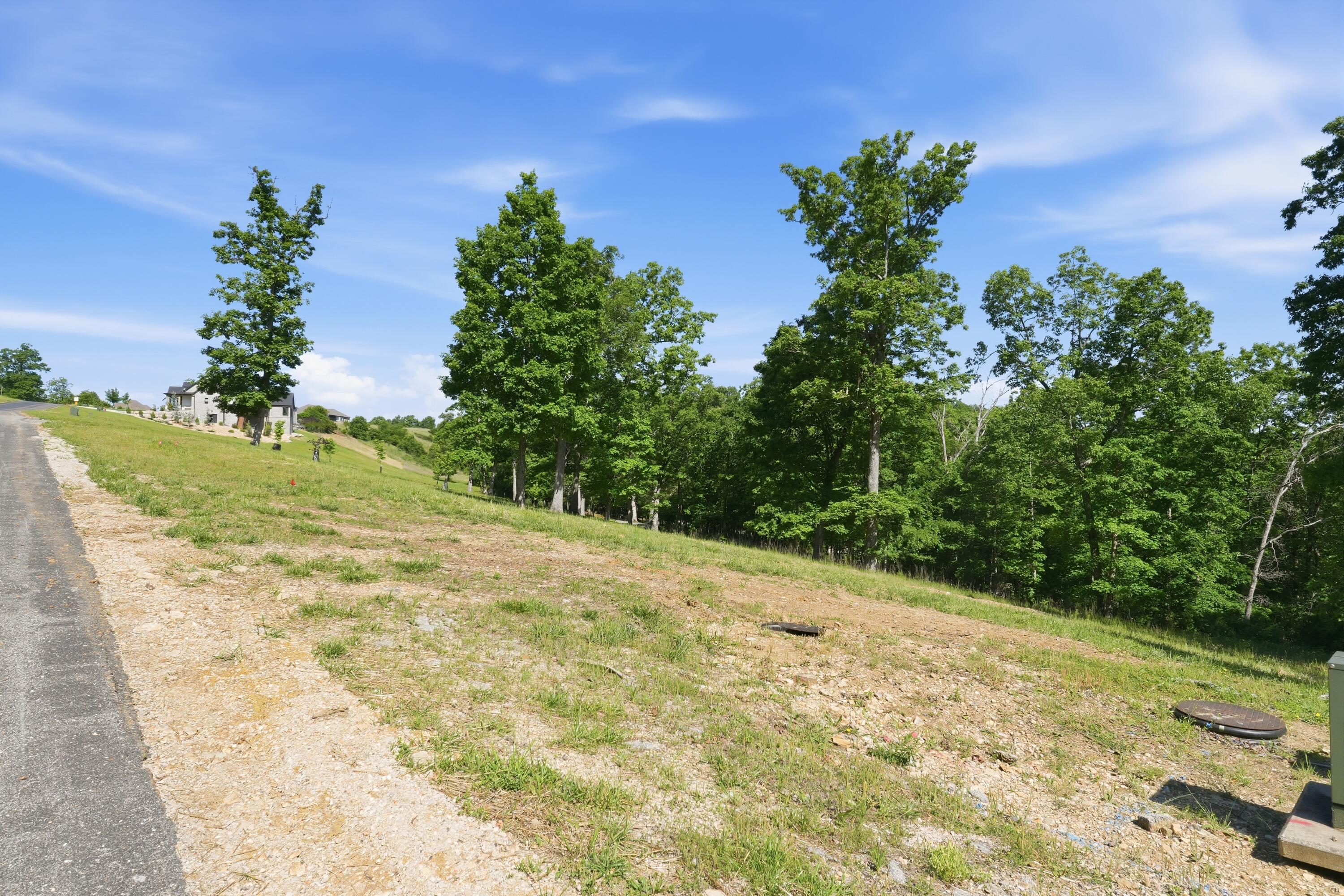 115a Property Photo 4