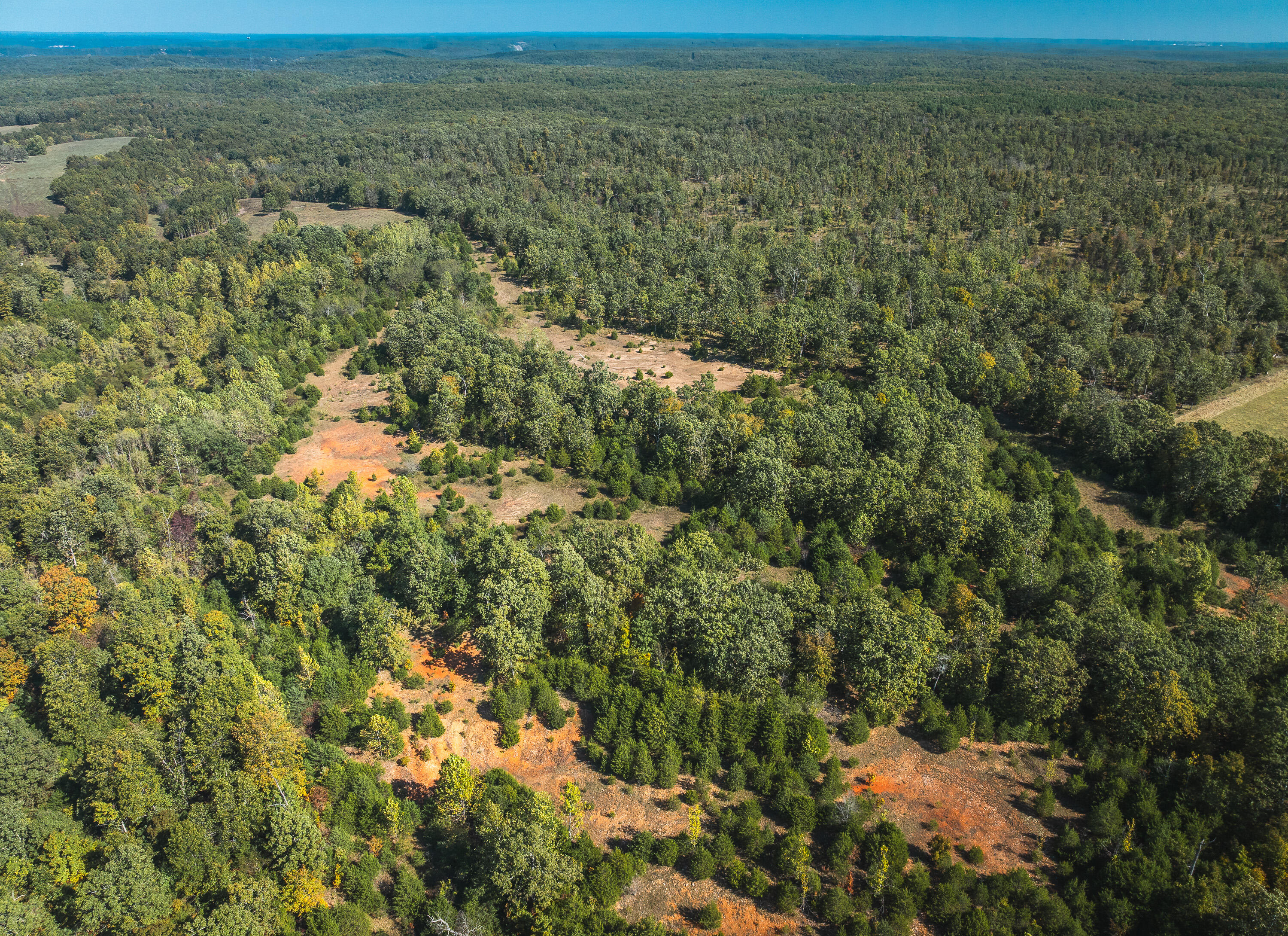 Lot 2 State Route J Property Photo 6