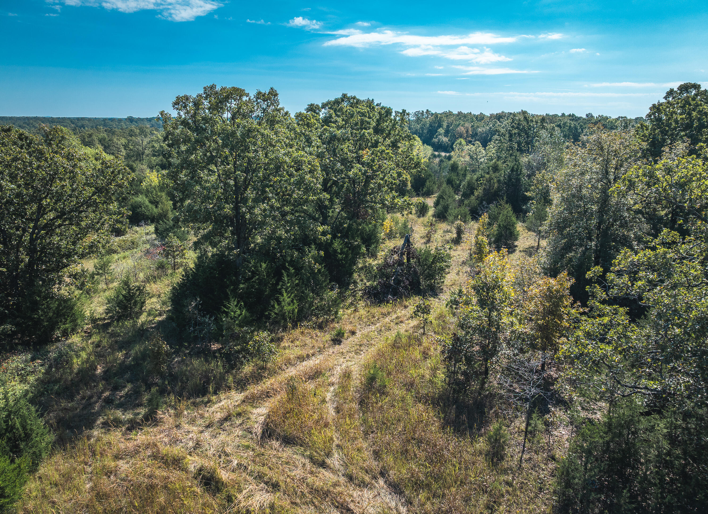 Lot 3 State Route J Property Photo 7