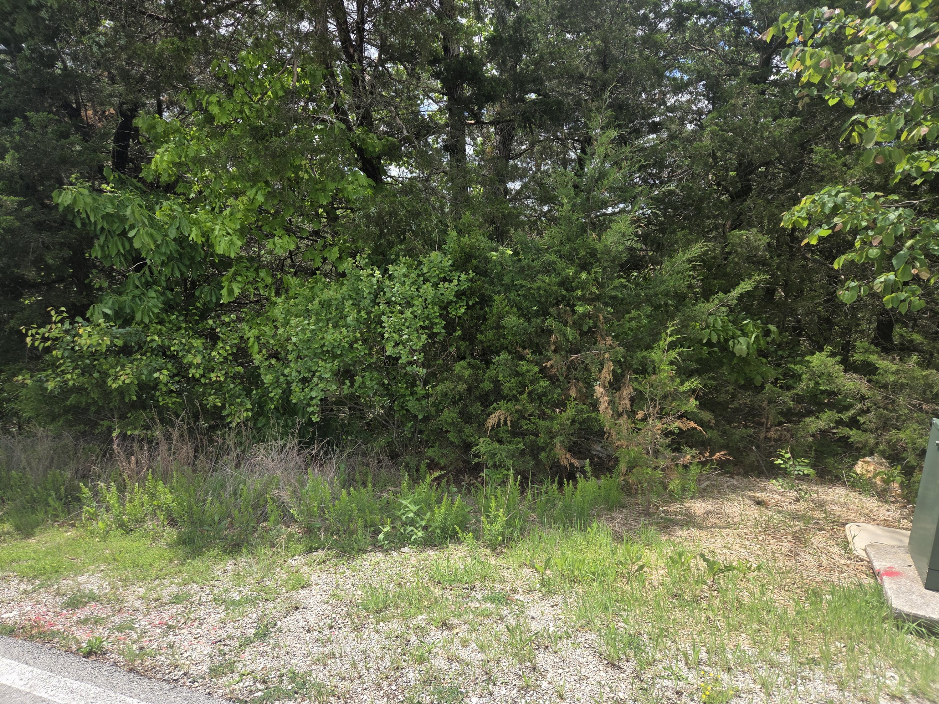178 Black Forest Lane Property Photo 2