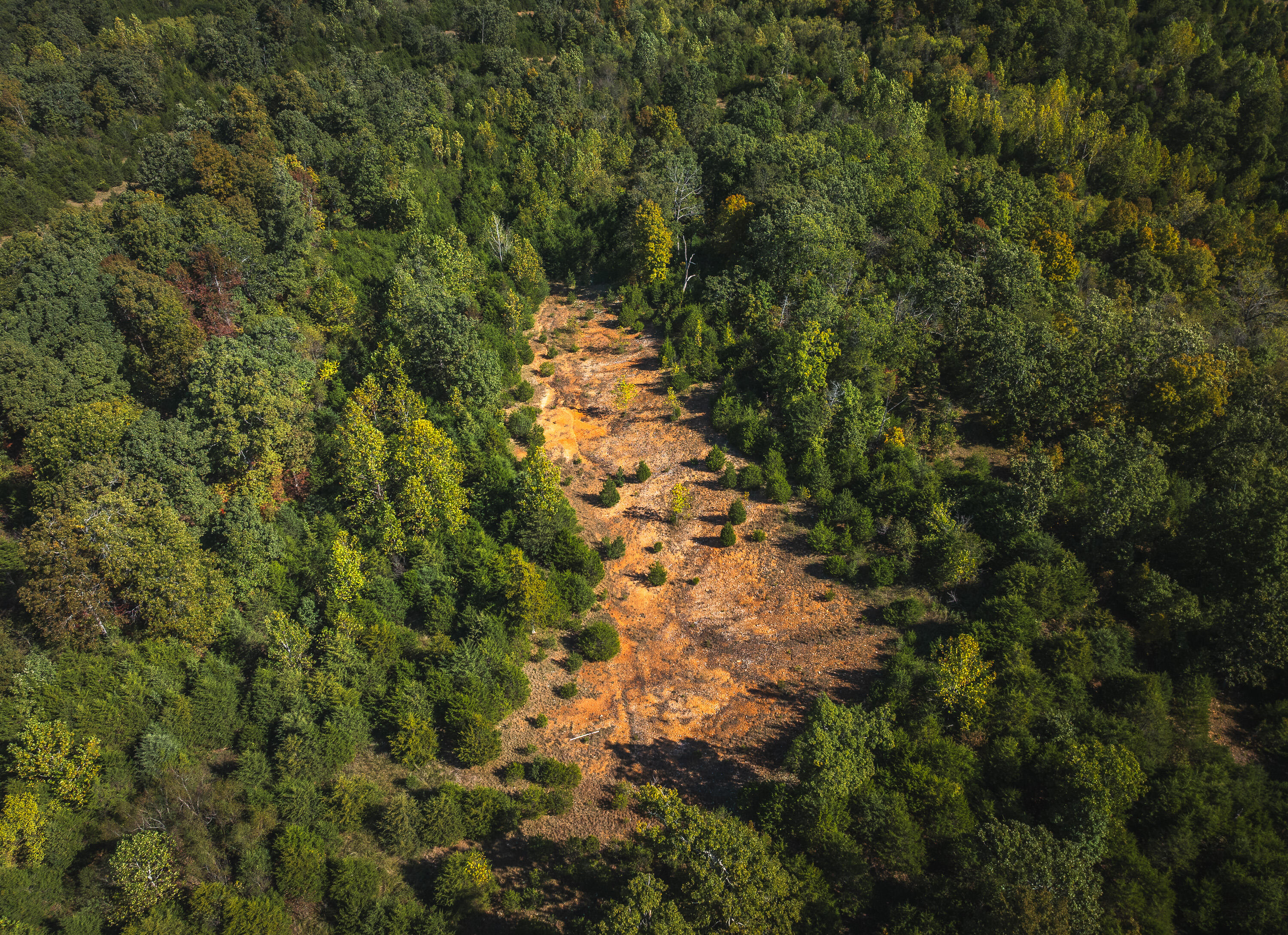 Lot 4 Clementine Outer Road Property Photo 2