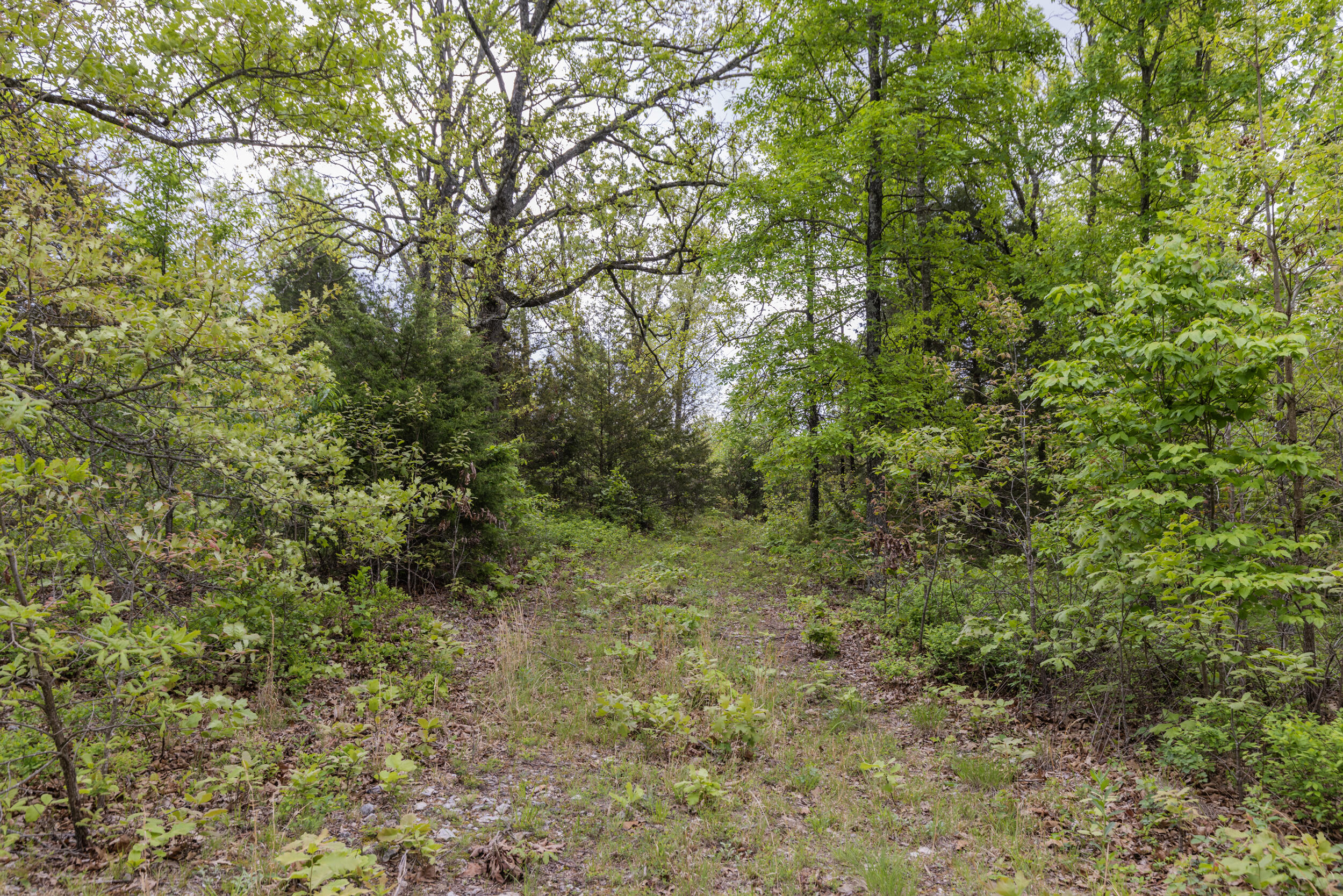15309 East State Highway 90 Property Photo 19