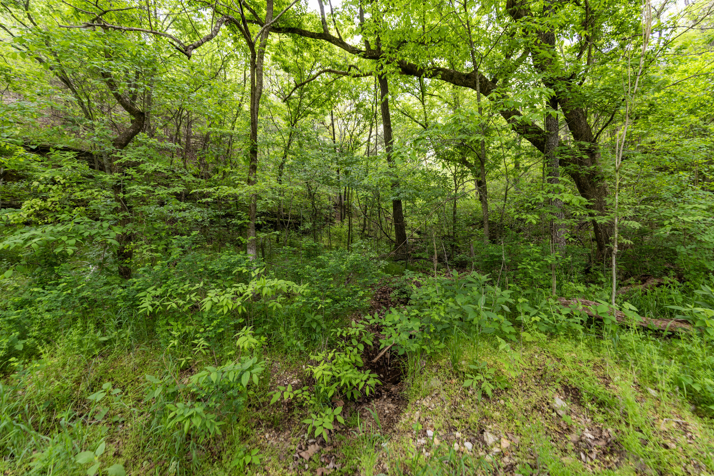 15309 East State Highway 90 Property Photo 45