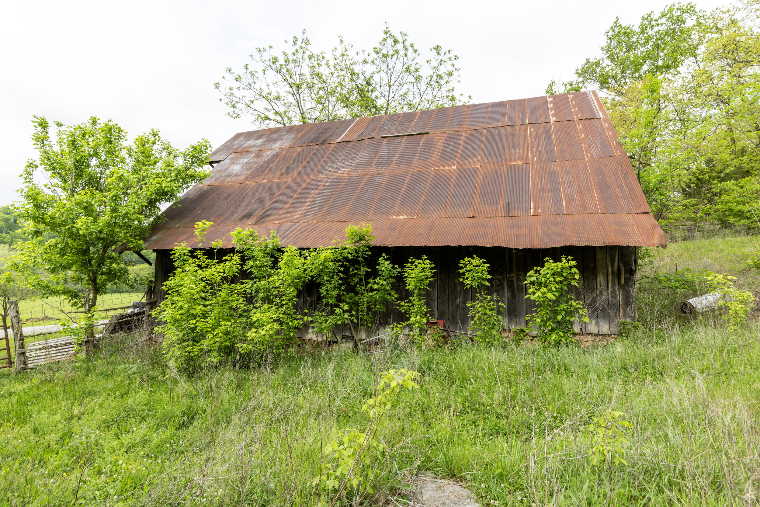 15309 East Hwy 90 Property Photo 37