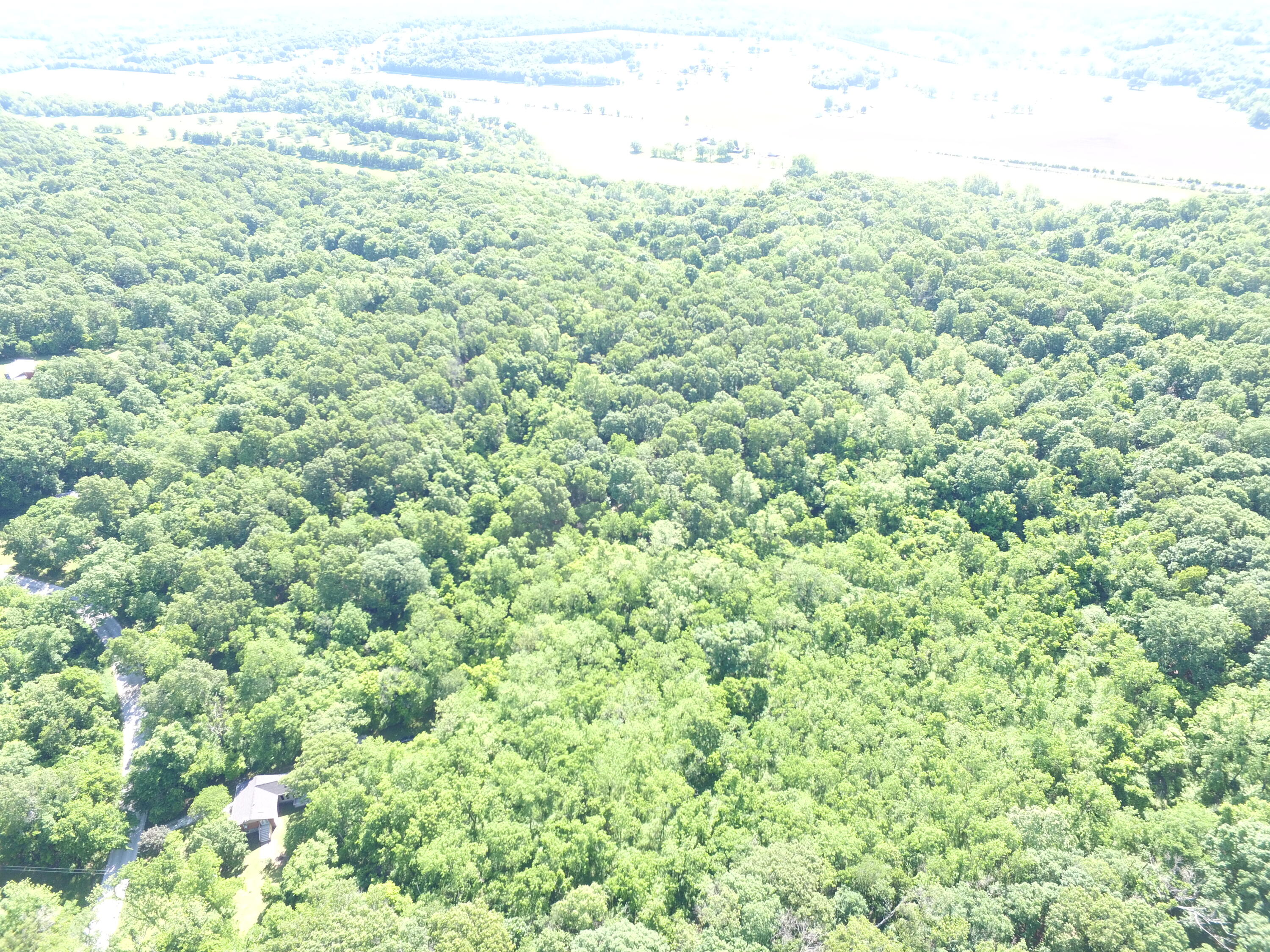 10961 Moose Drive Property Photo 2