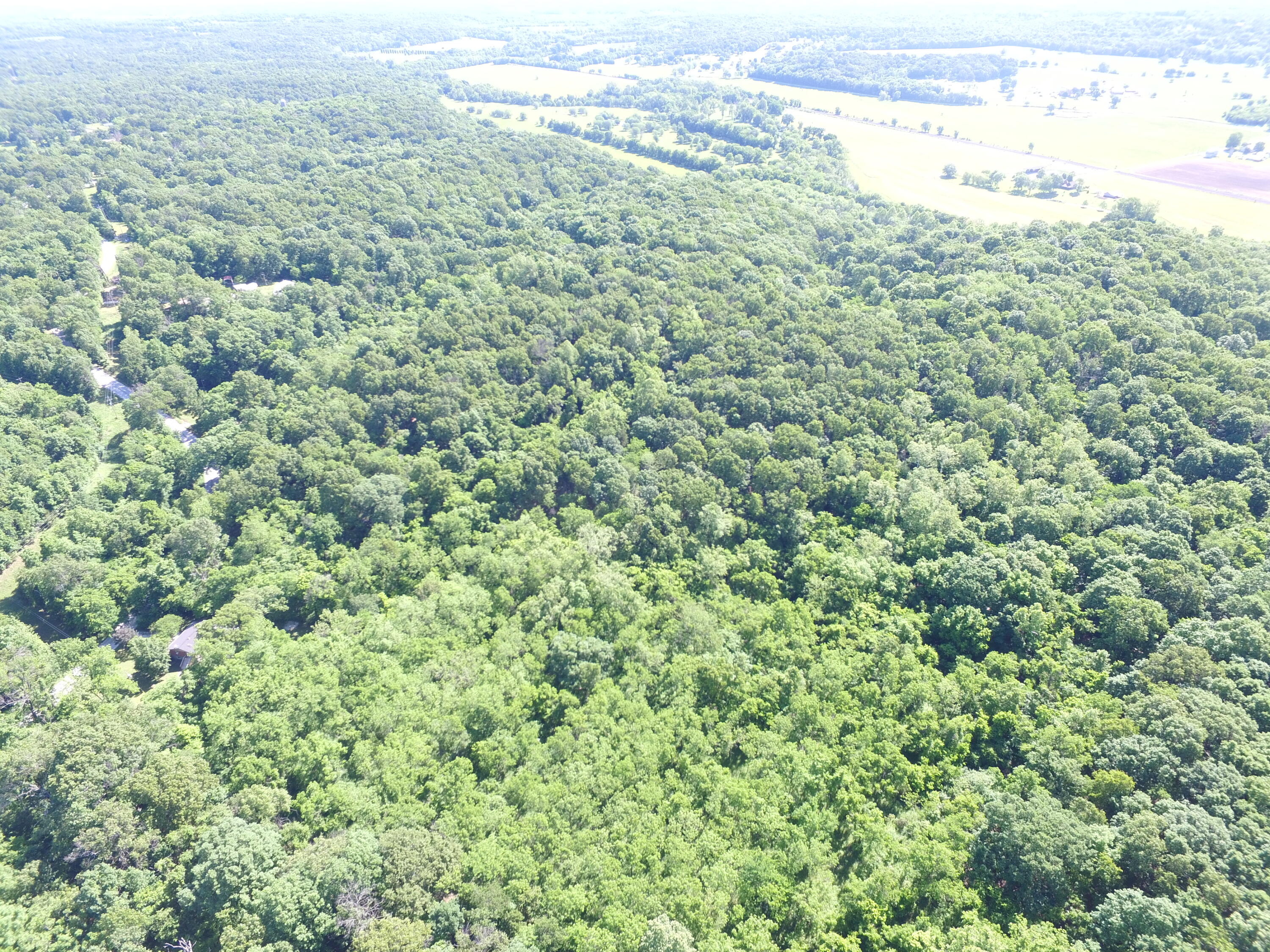 10961 Moose Drive Property Photo 3