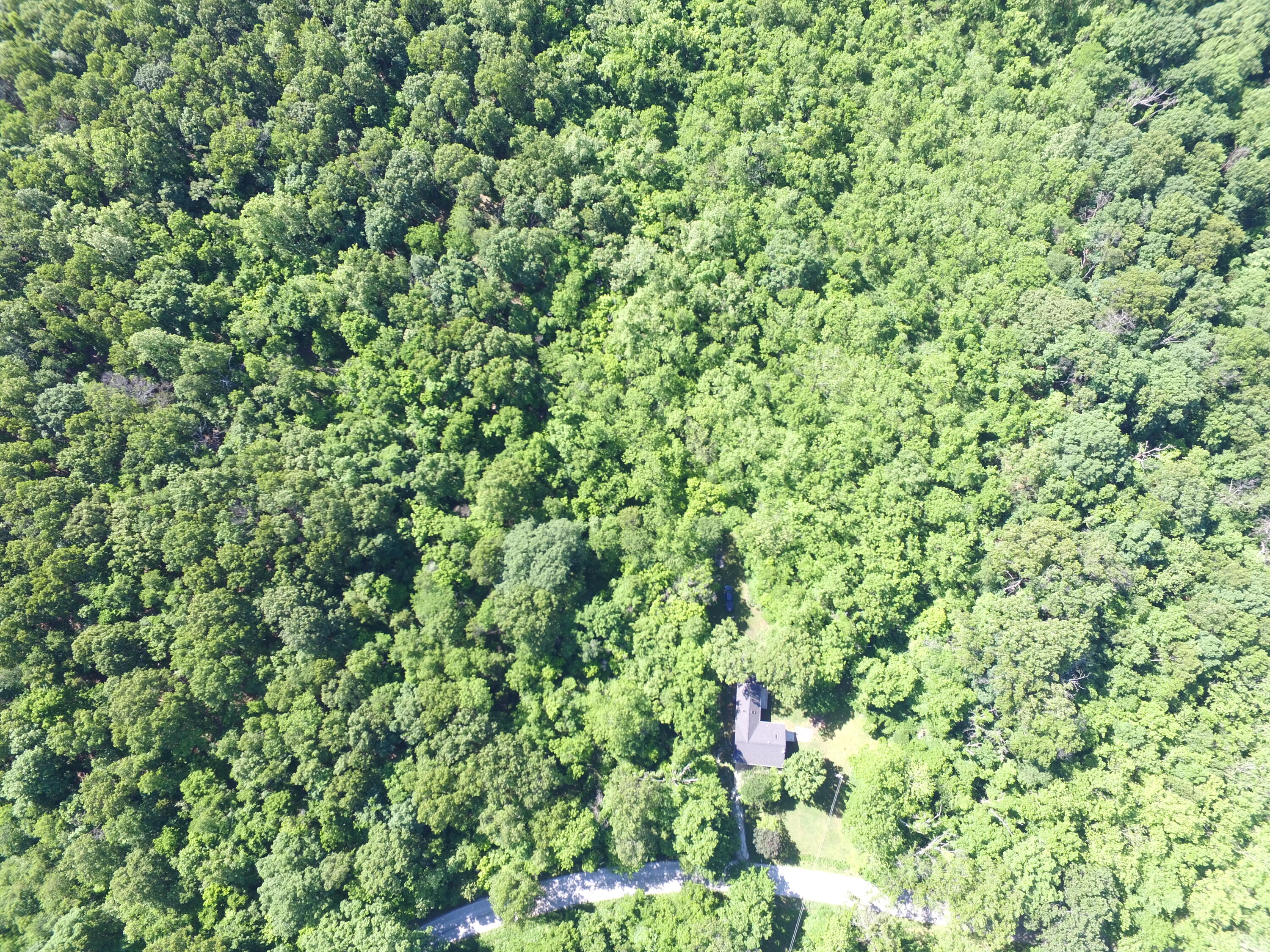 10961 Moose Drive Property Photo 11