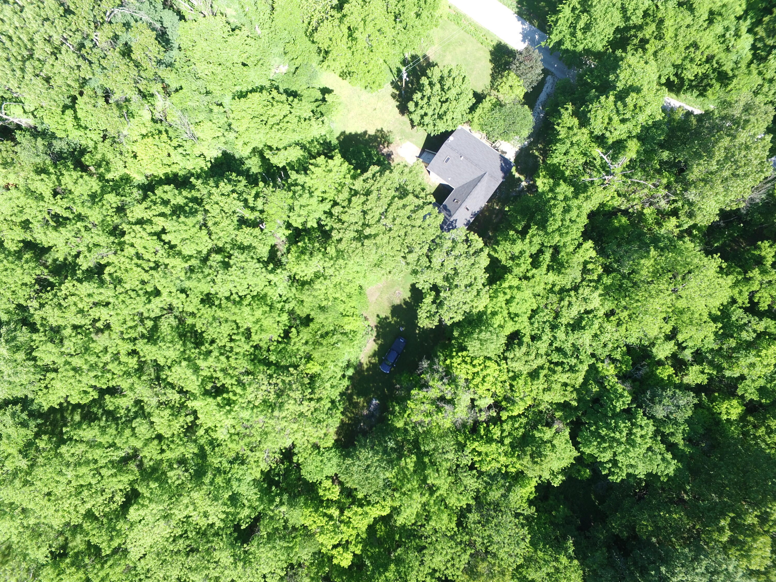 10961 Moose Drive Property Photo 14