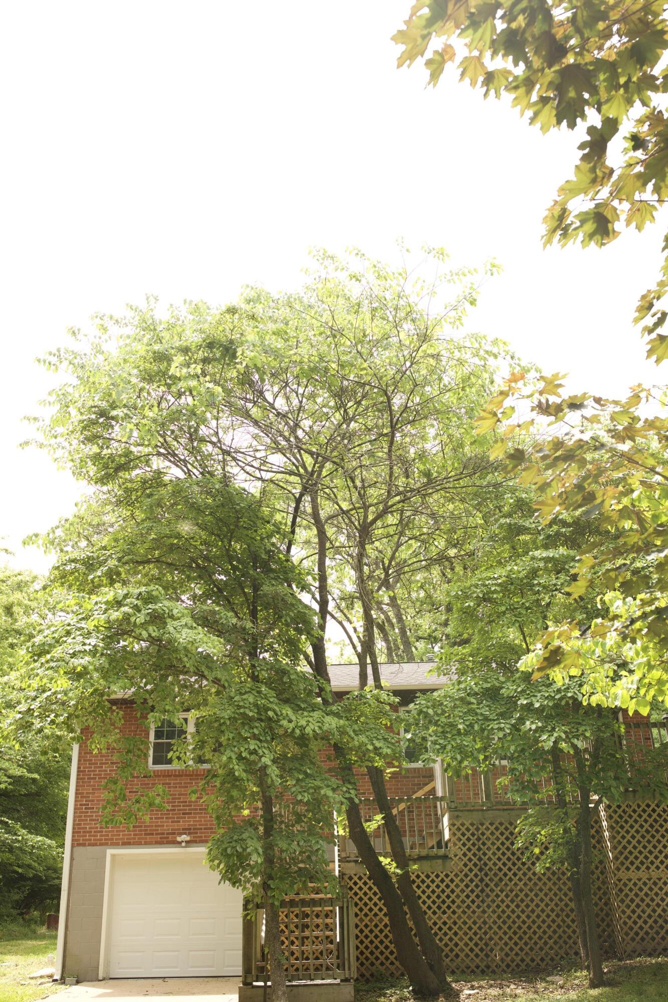 10961 Moose Drive Property Photo 28