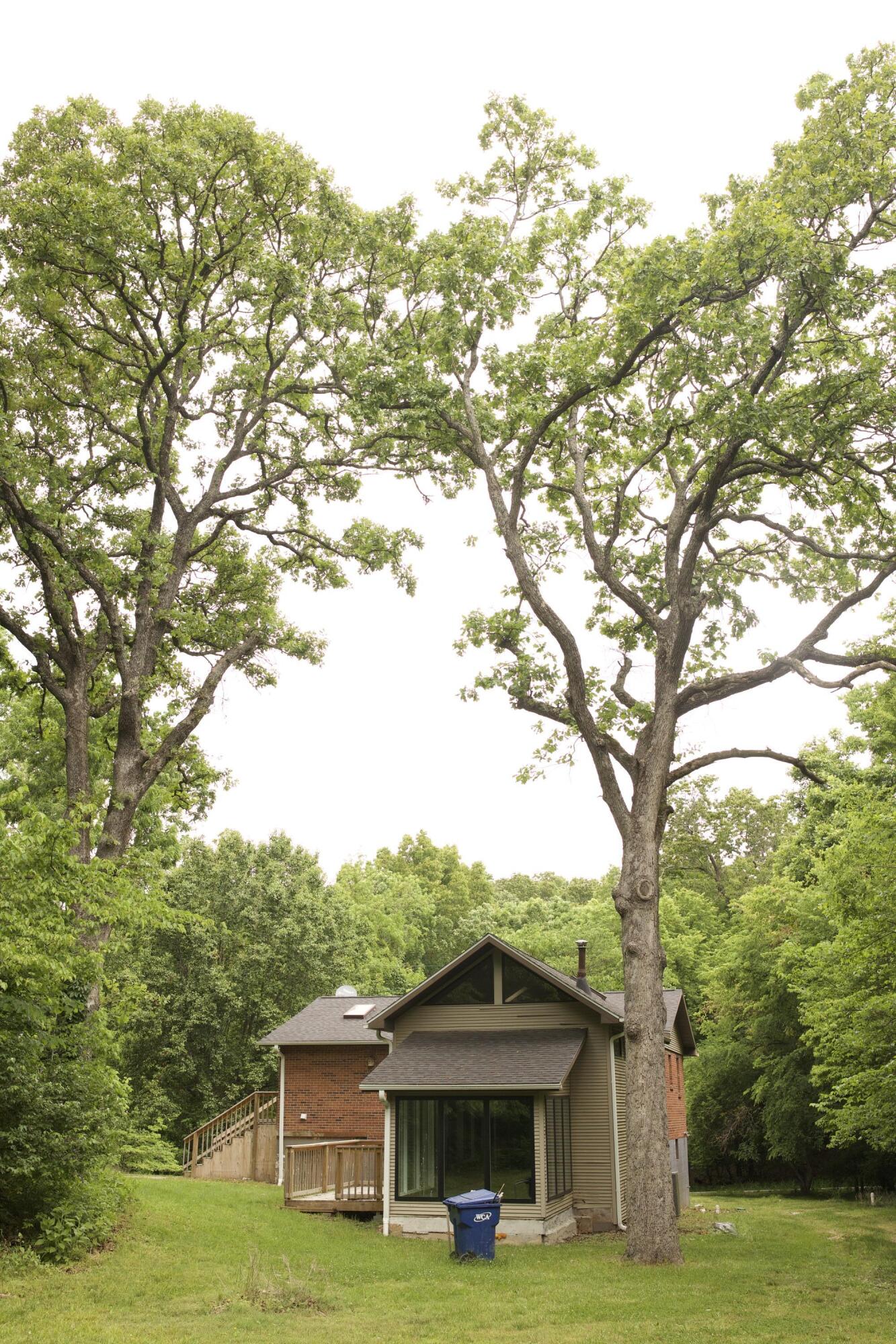 10961 Moose Drive Property Photo 36