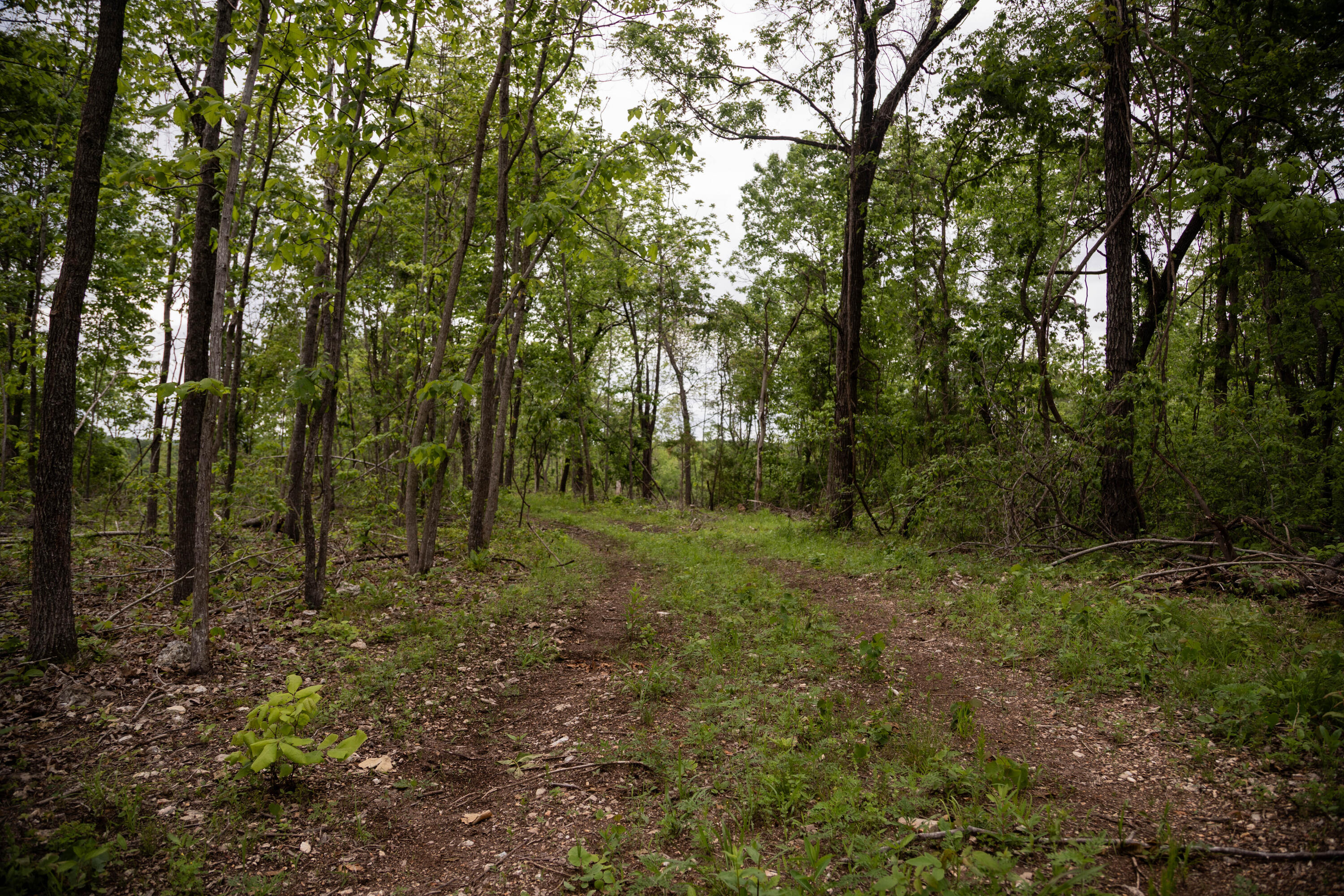 000 State Highway Y Property Photo 1