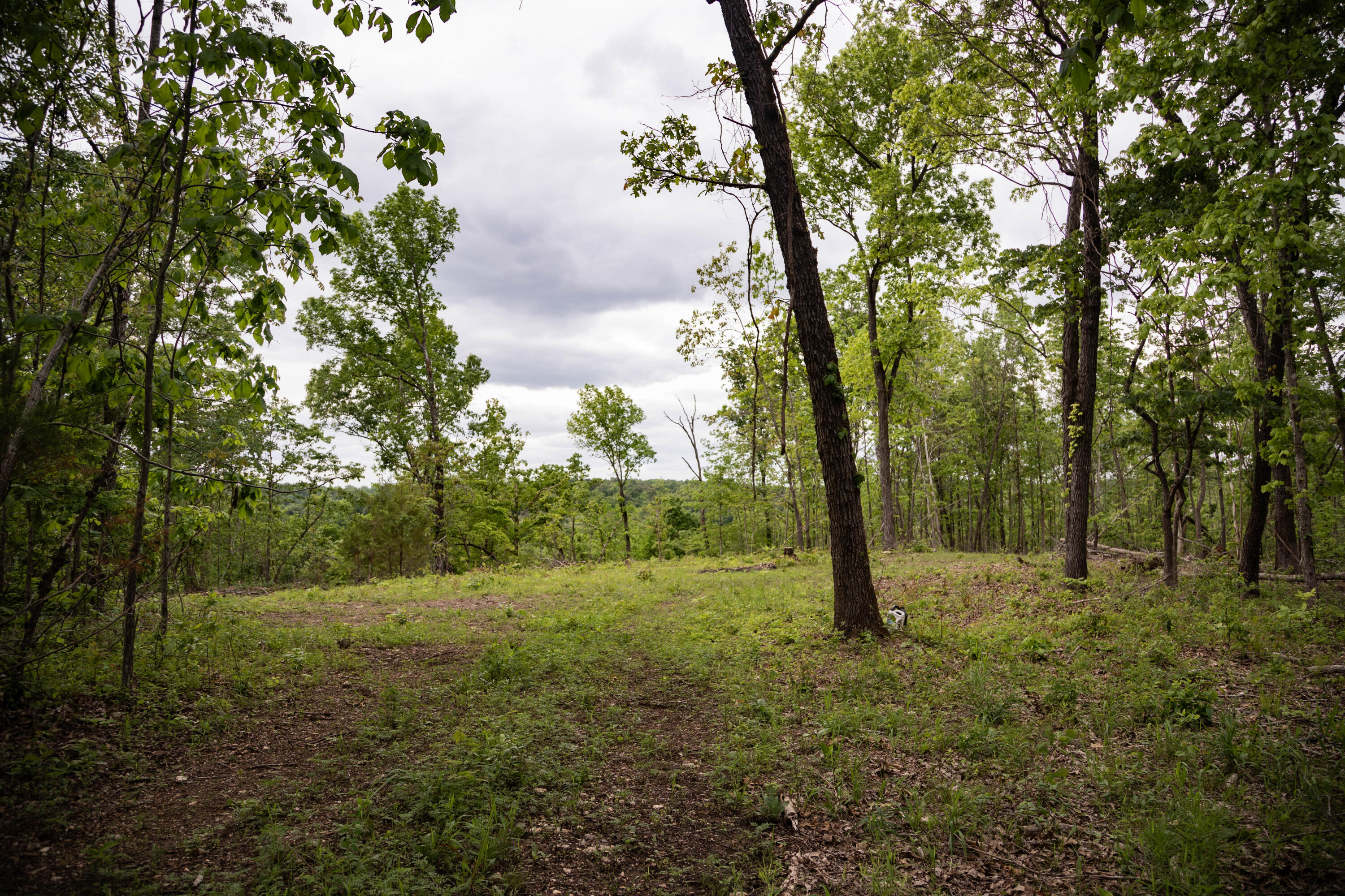 000 State Highway Y Property Photo 4