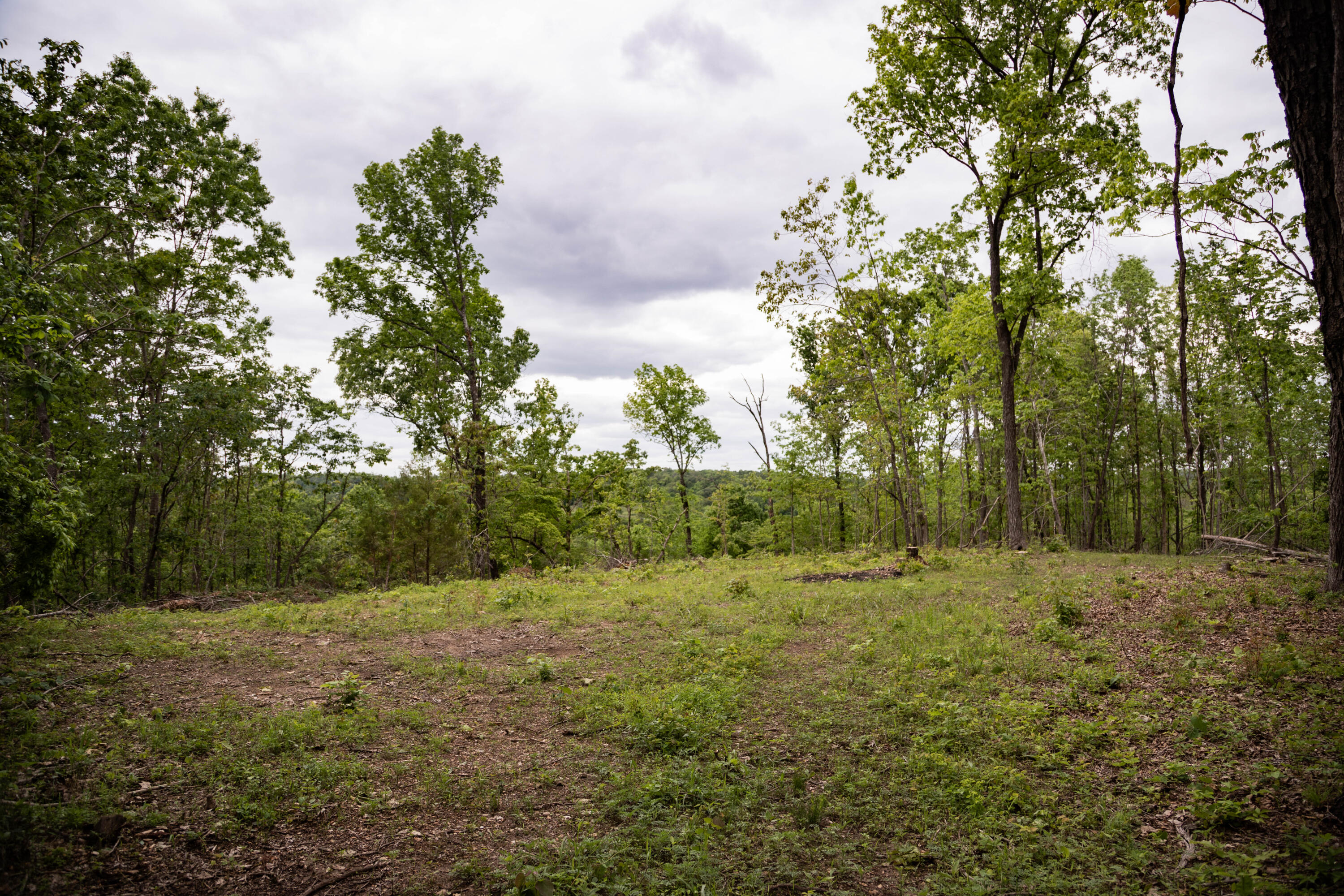 000 State Highway Y Property Photo 5