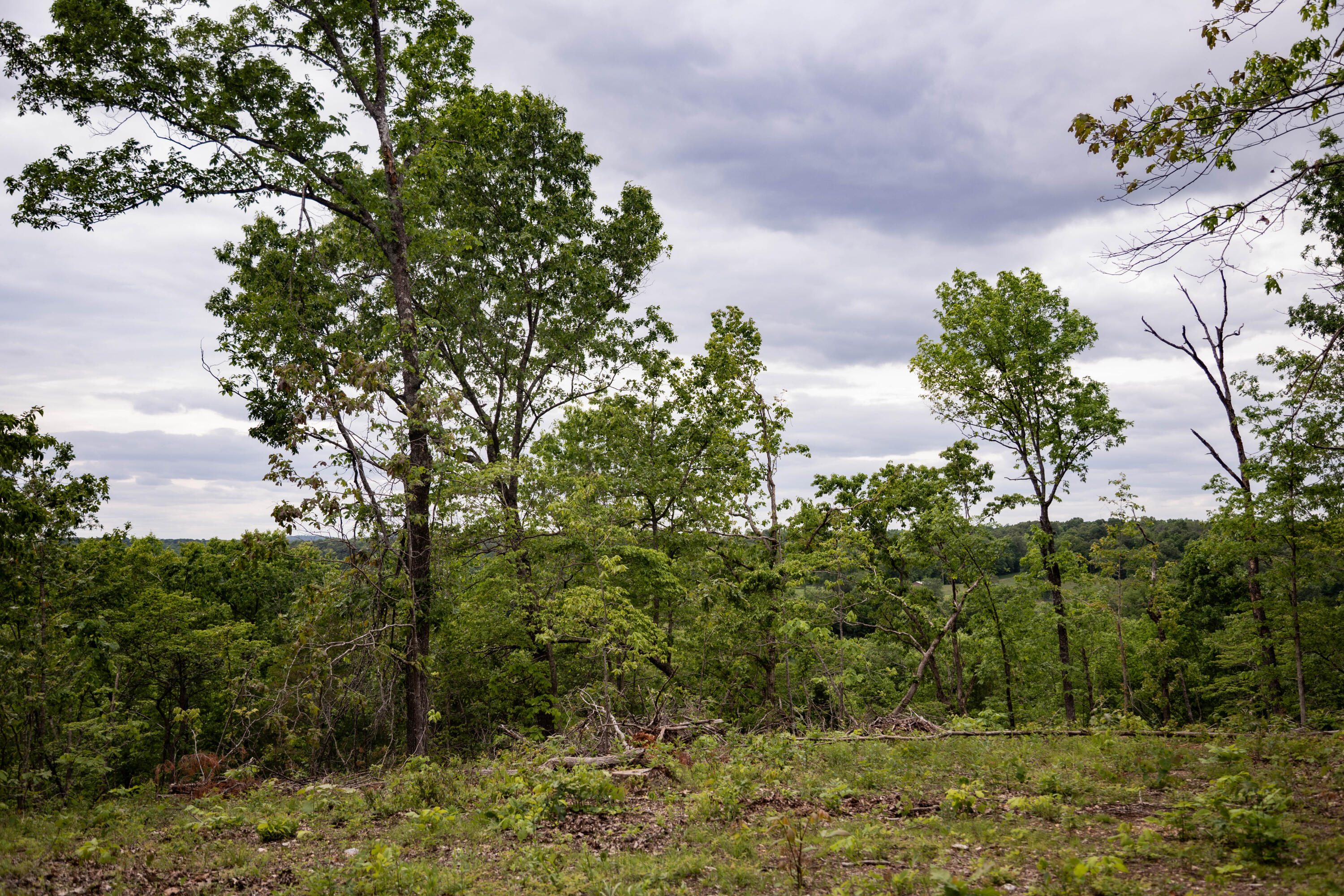 000 State Highway Y Property Photo 6